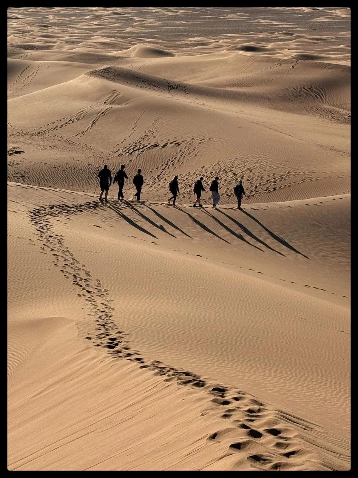 Sahara Morocco Yoga &amp; Hike Retreat