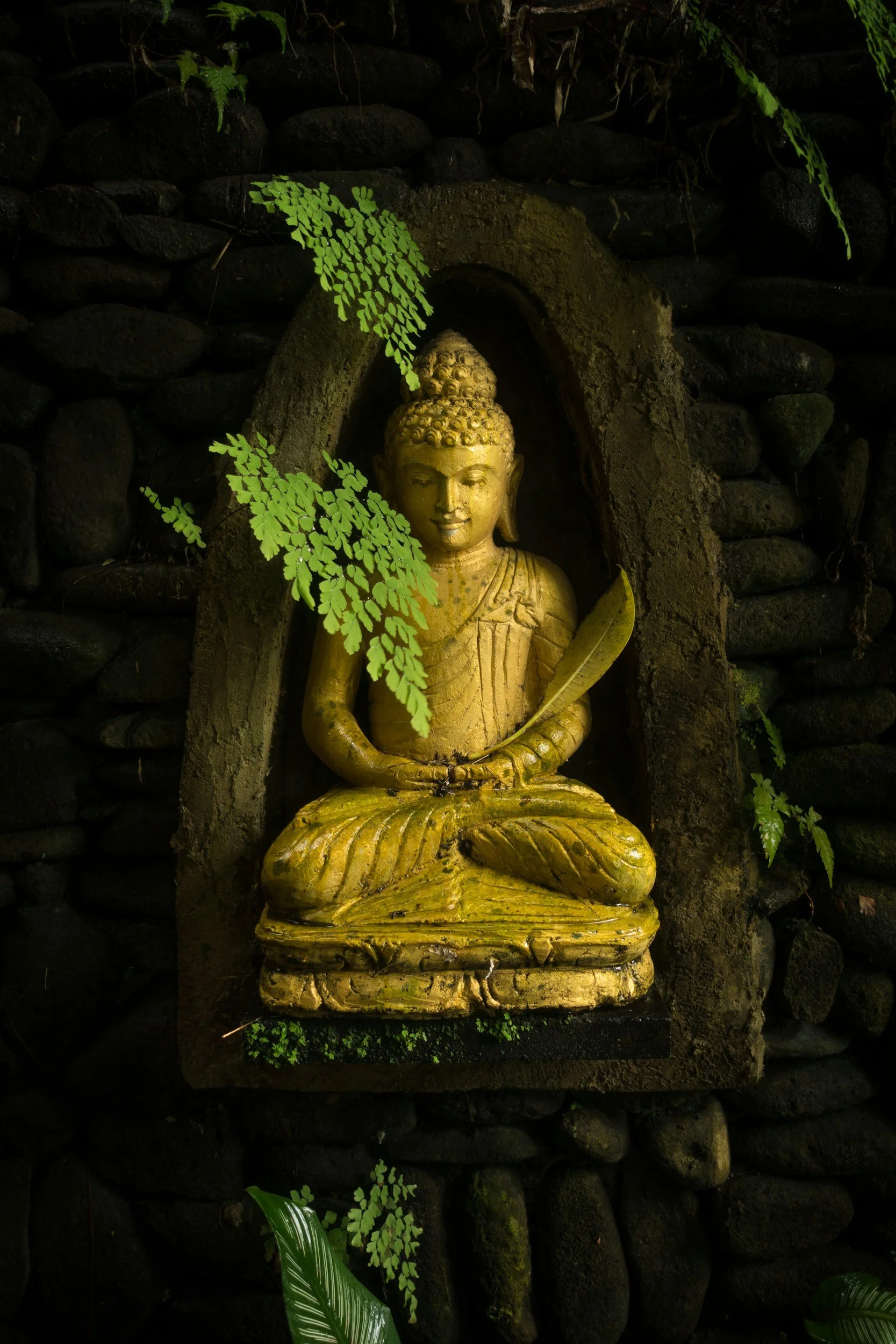unsplash-image-vyeba6LCbJM.jpg