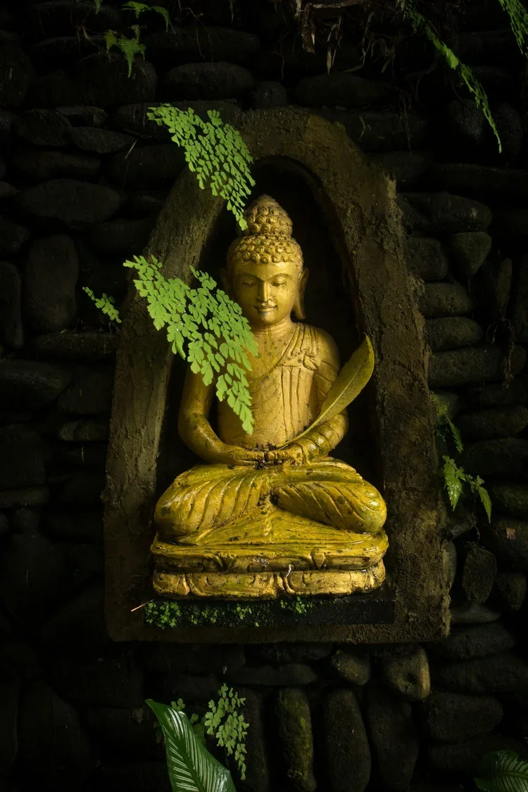 What is your Path? Living Buddhist Wisdom through Yin yoga & Meditation
