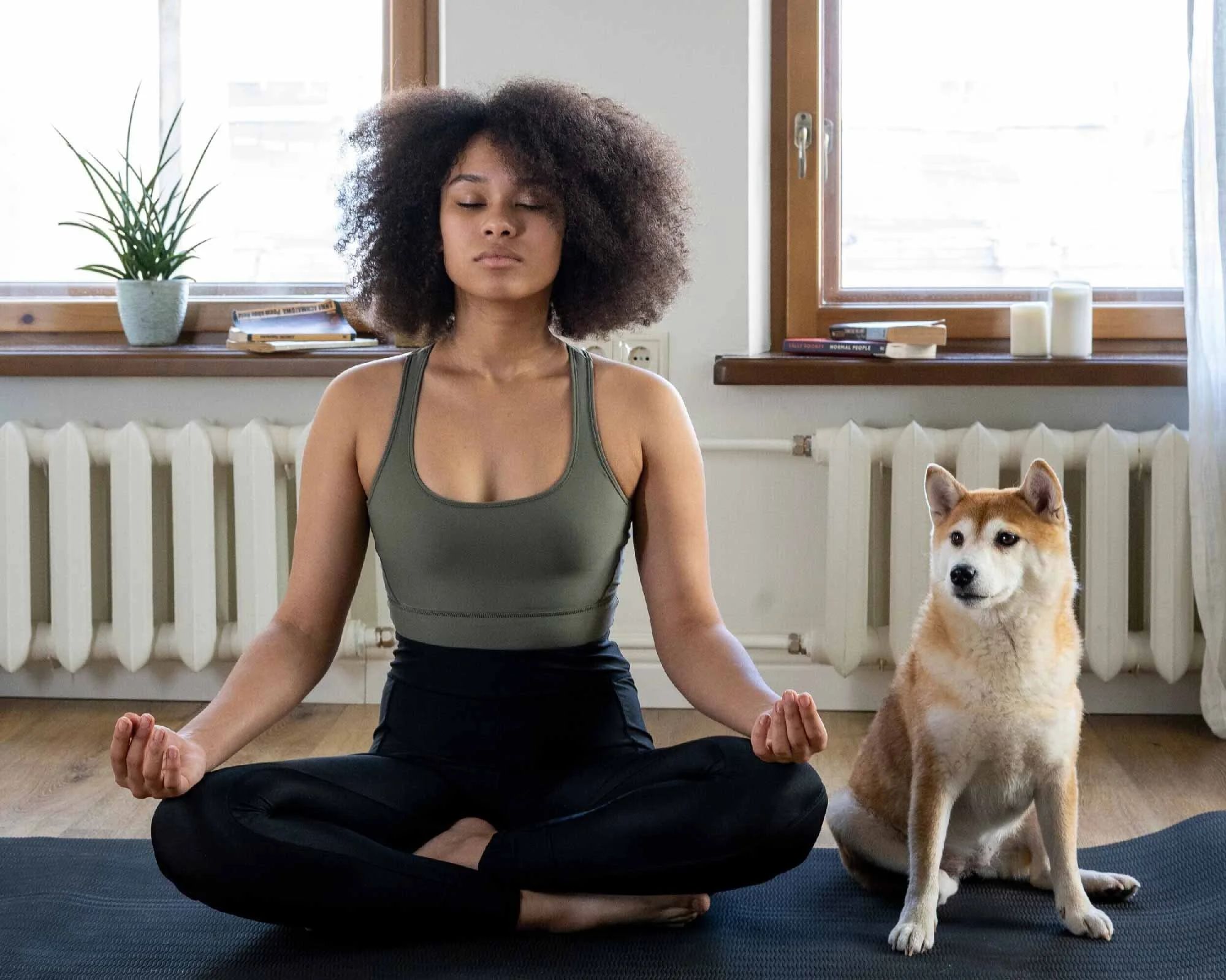 Meditation Made Easy