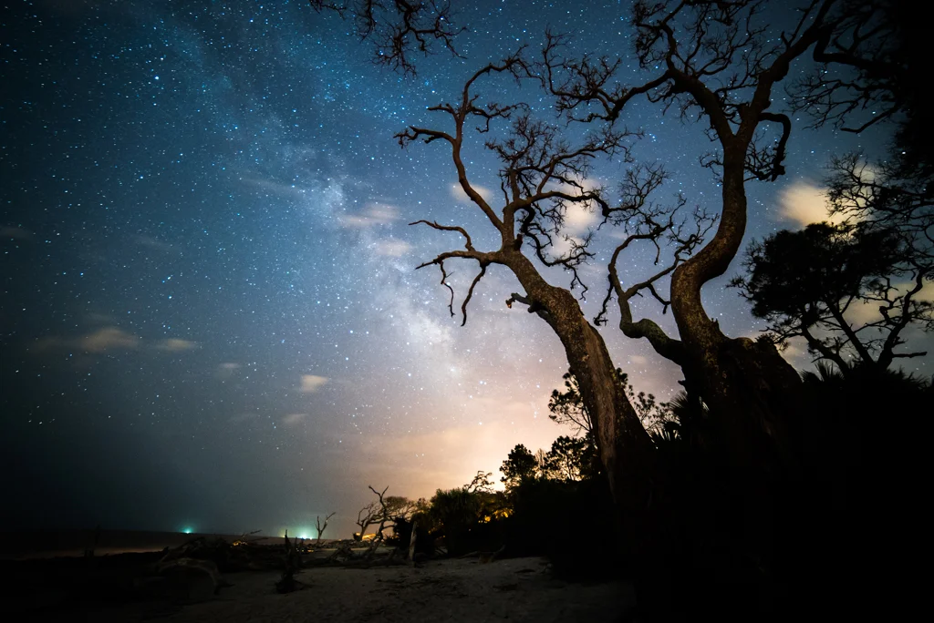 10Lynn_Cates_Astro2.jpg