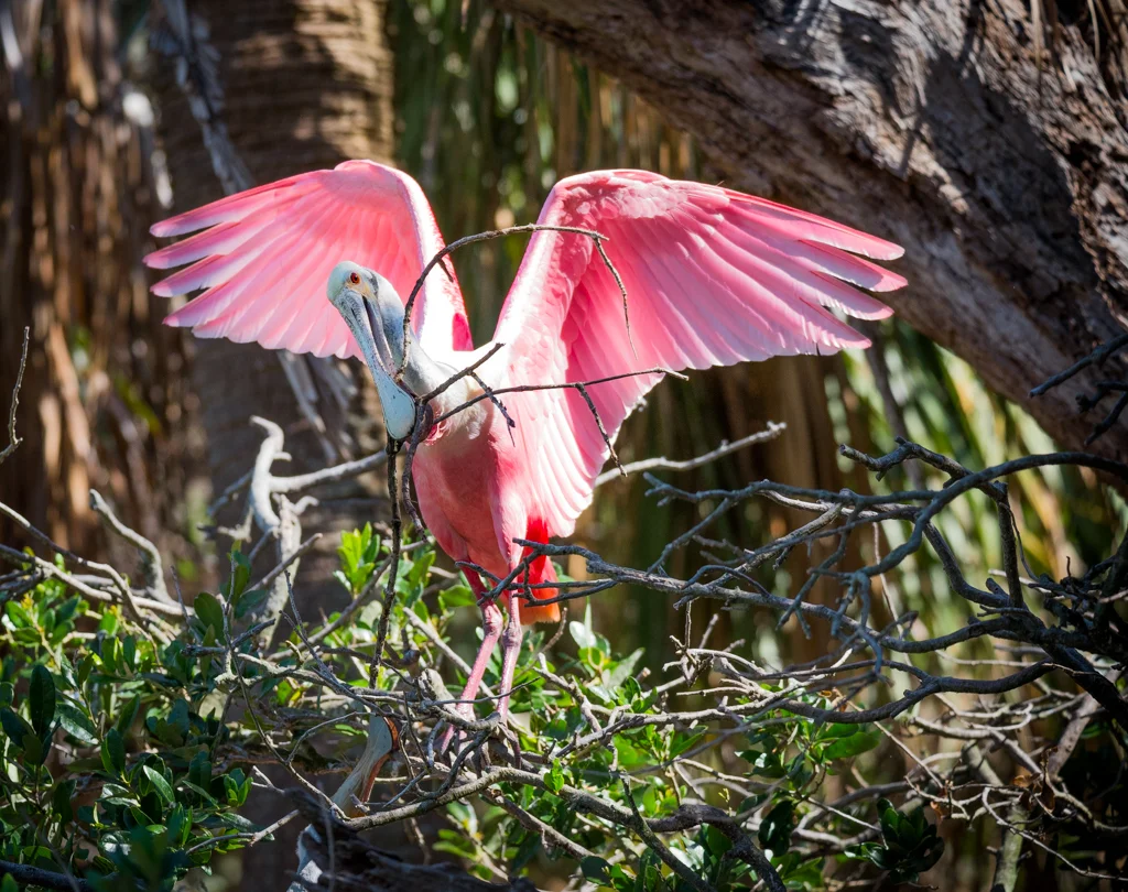 13Lynn_Cates_Nature2.jpg