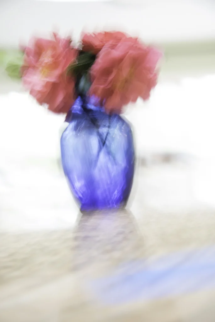 10Lynn_Cates_Abstract2.jpg