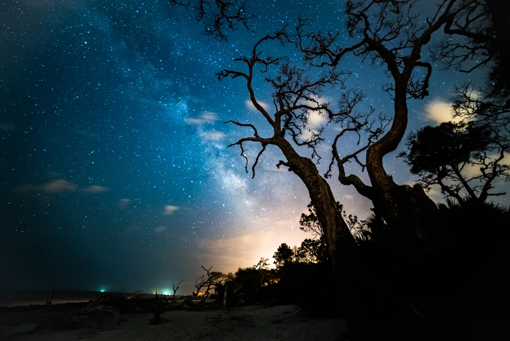 Landscape Honorable Mention