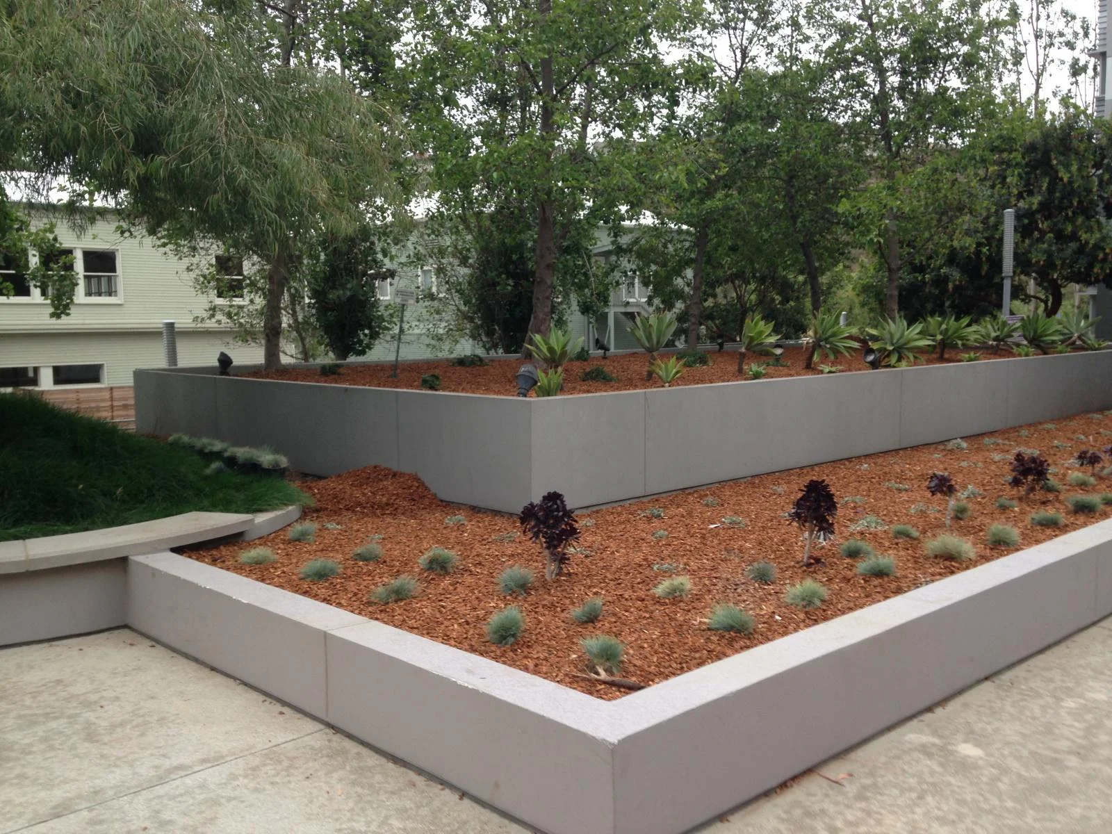 COURTYARD5.jpg