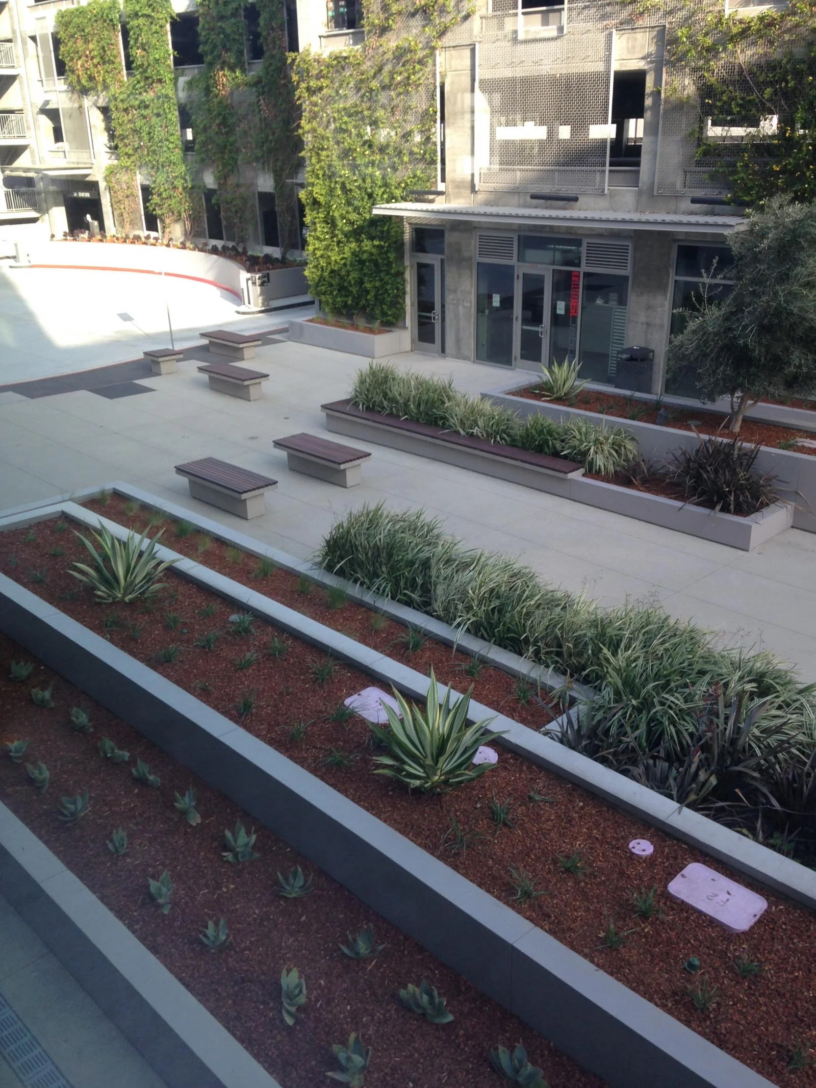 COURTYARD10.jpg