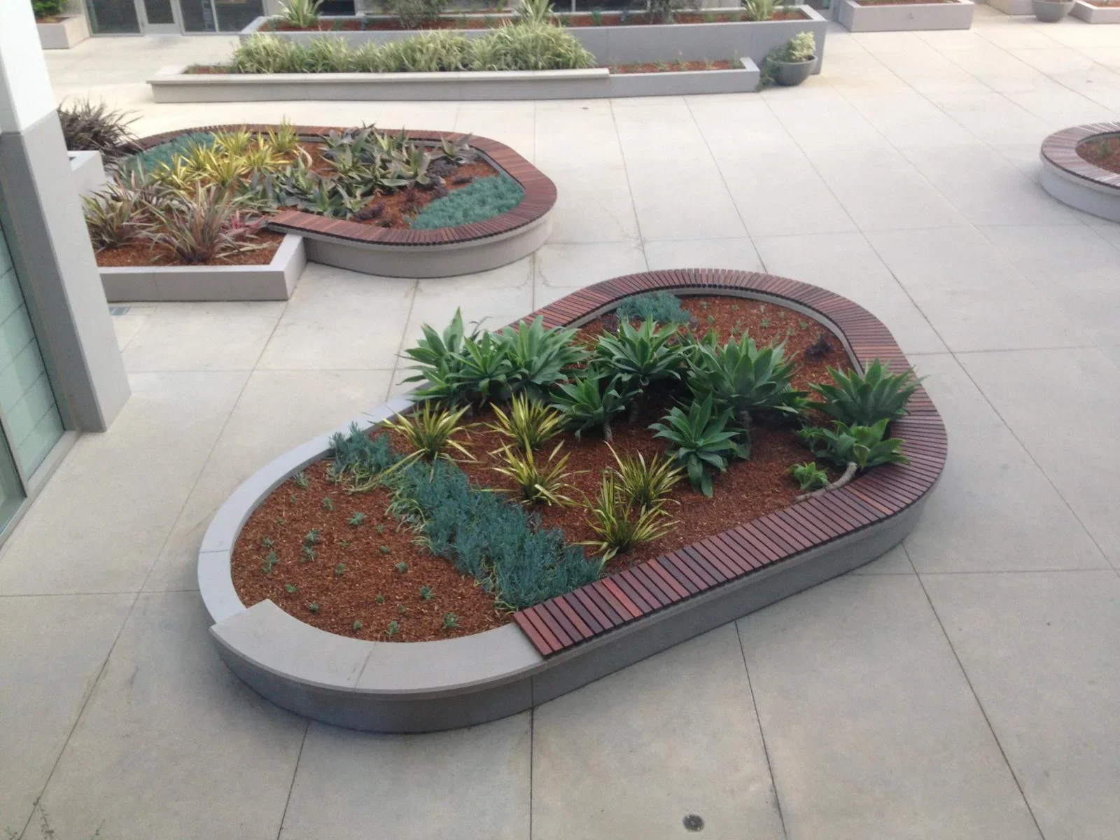 COURTYARD8.webp