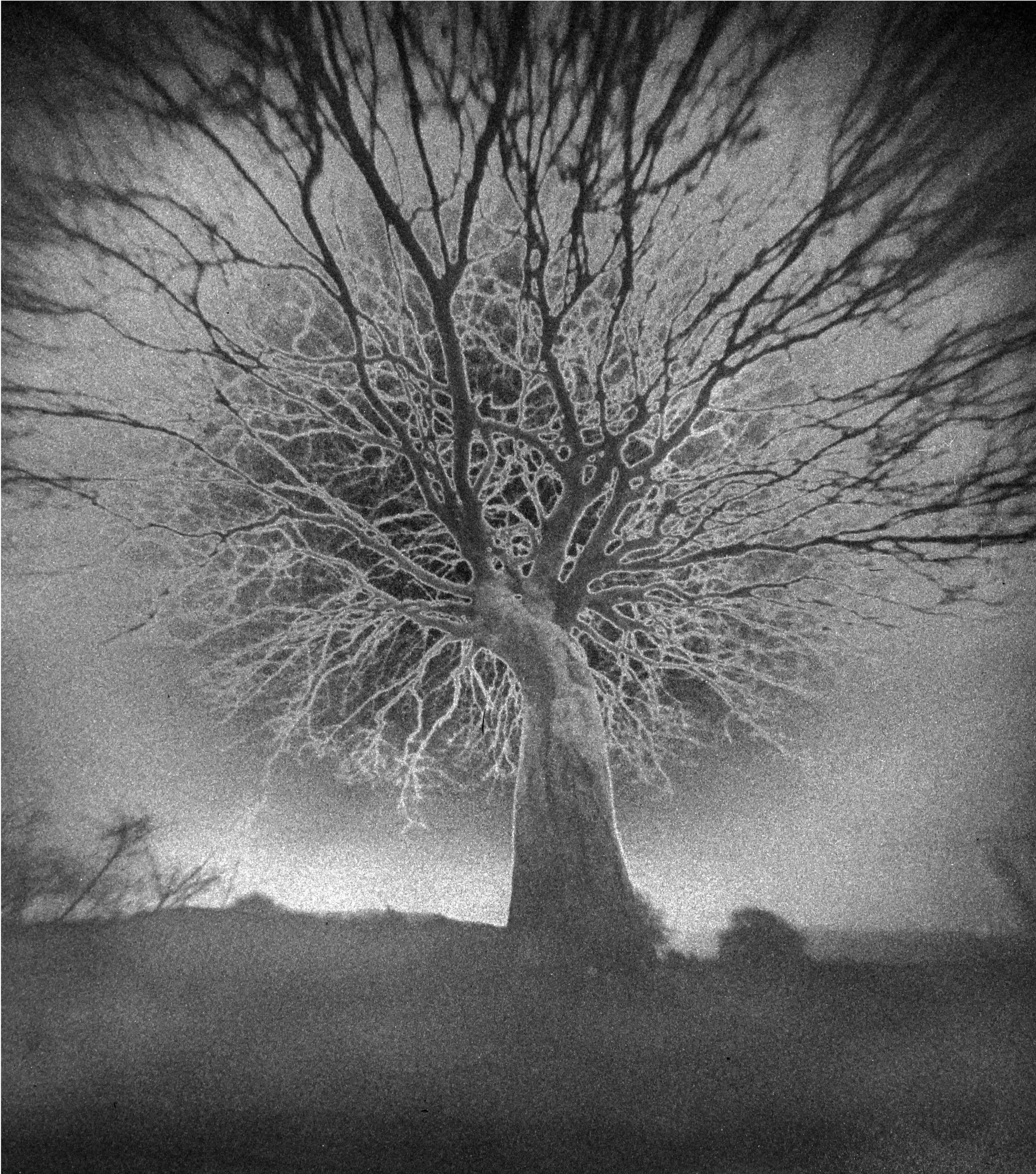 klar-OFFO on the way IMG_24253_2.jpg