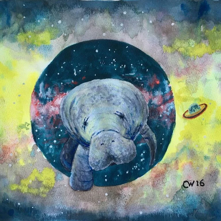 Space Manatee