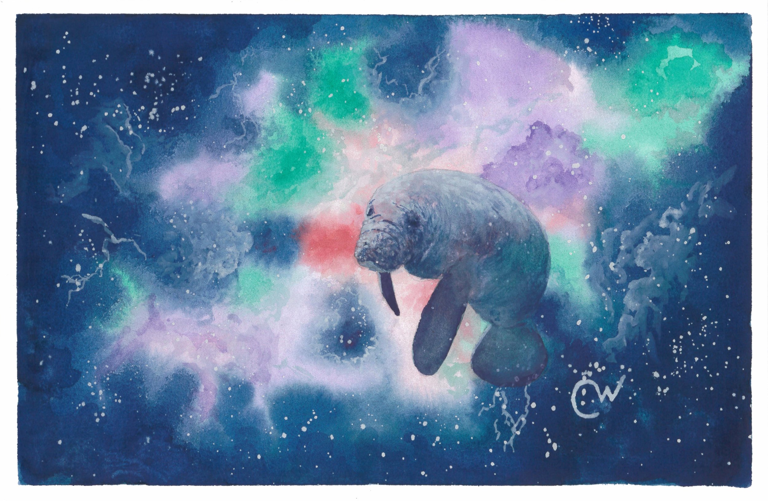 Cosmic Manatee