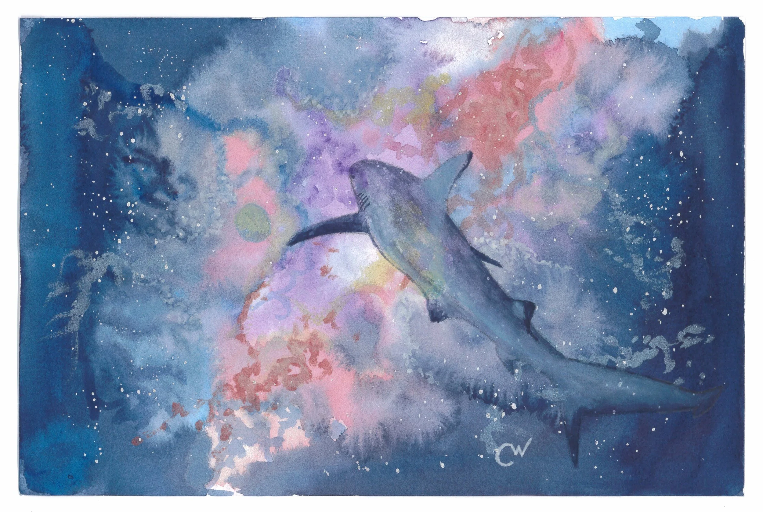 Cosmic Shark