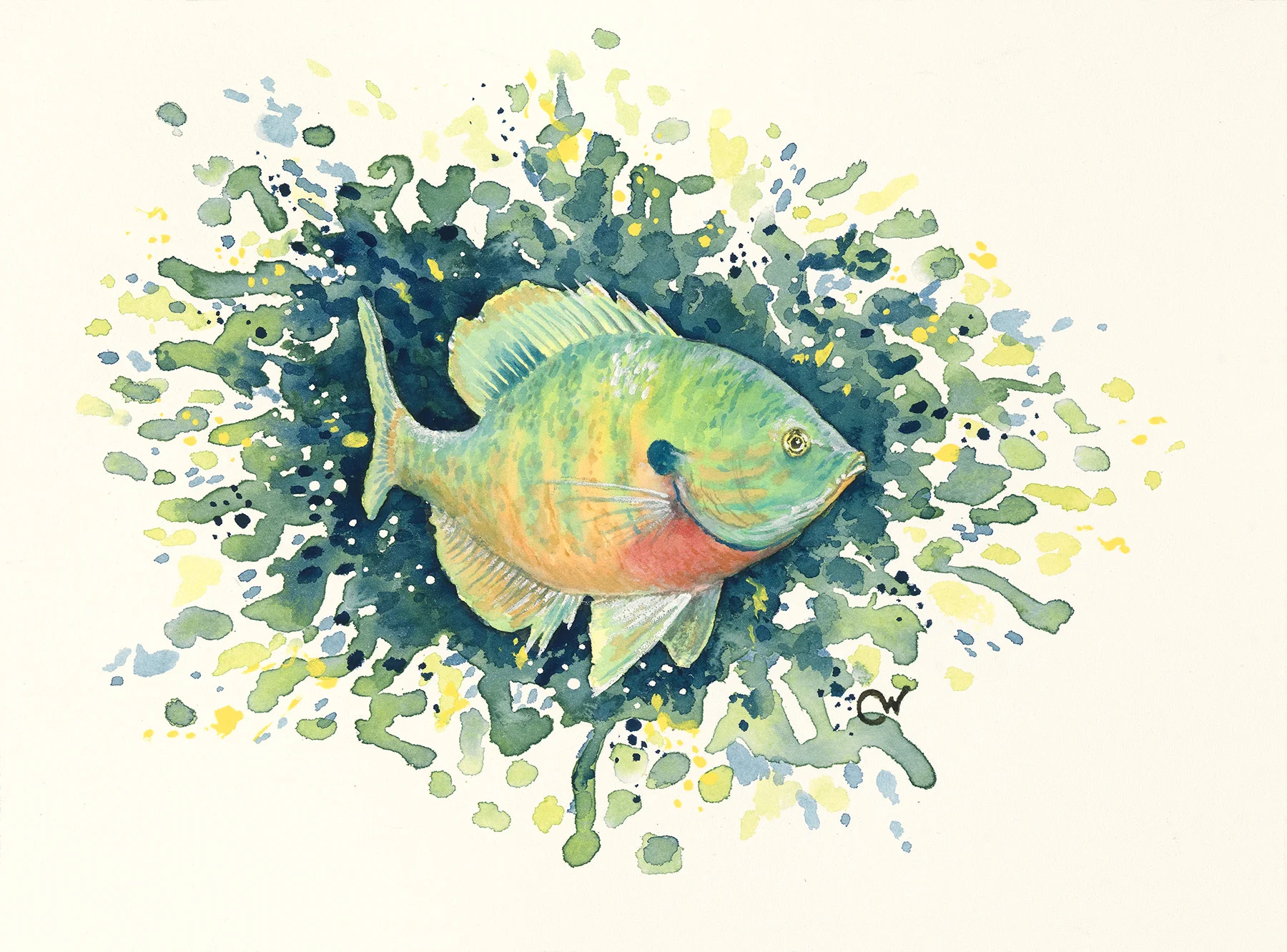 Sunfish