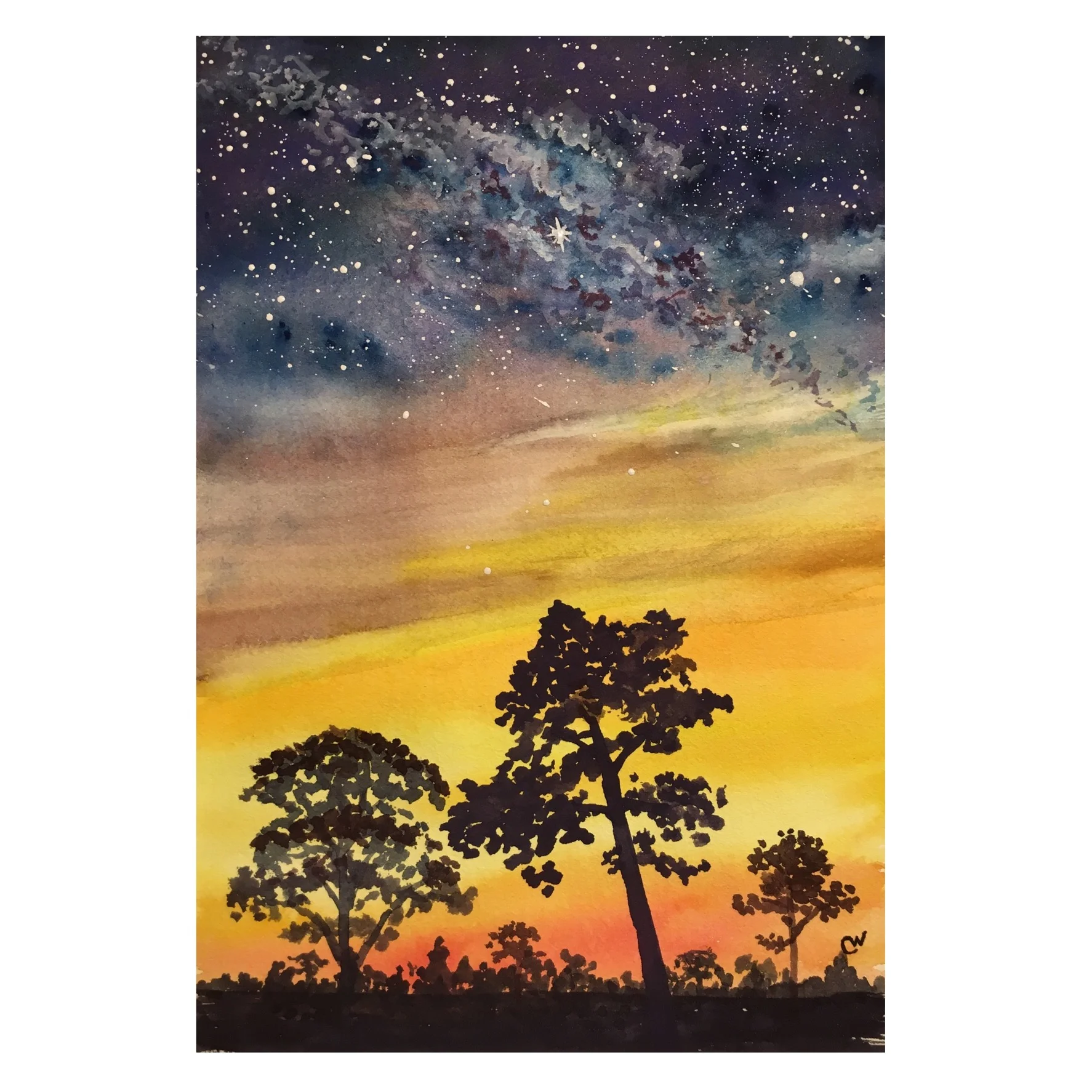 Long Leaf Pine Sunset