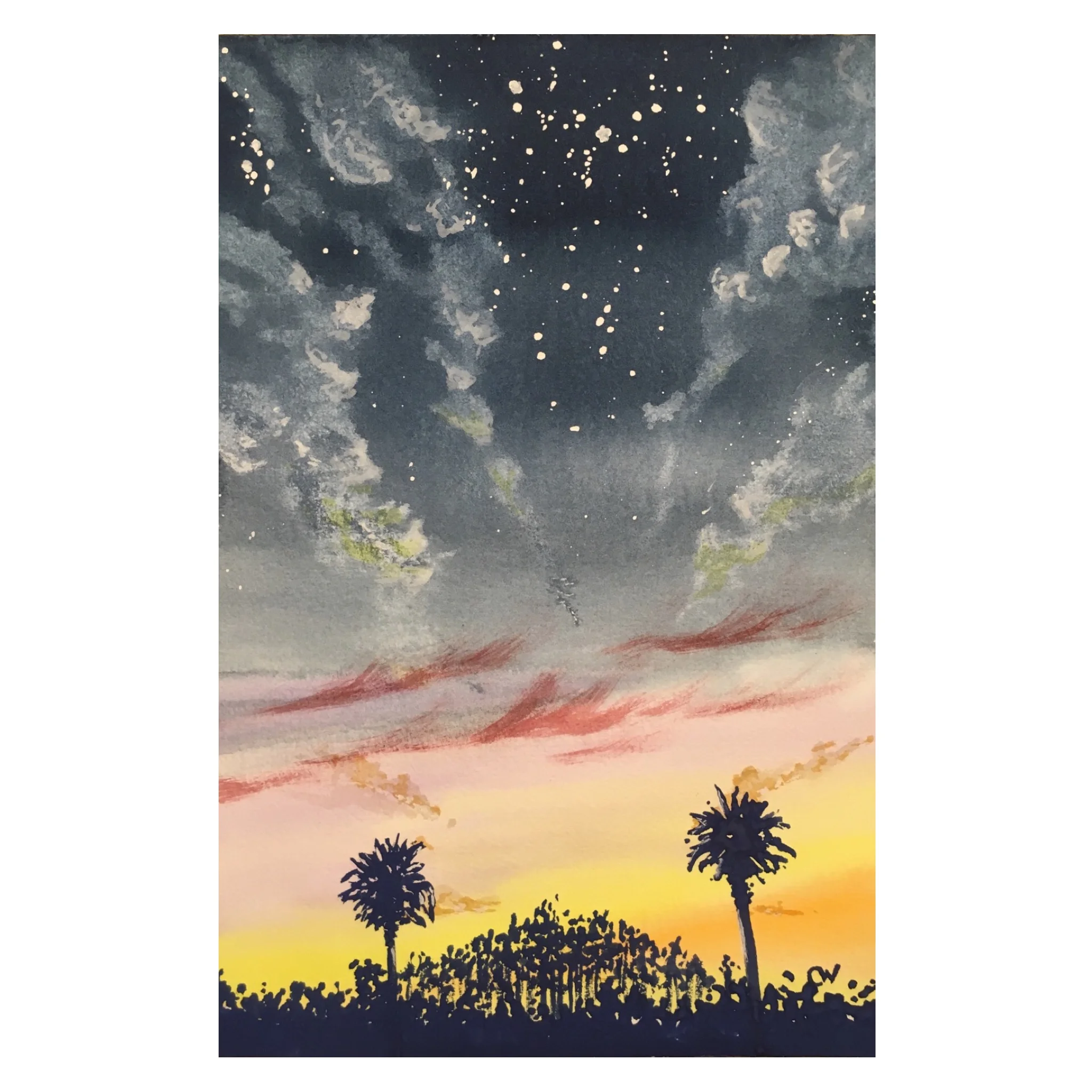 Palm Sunset