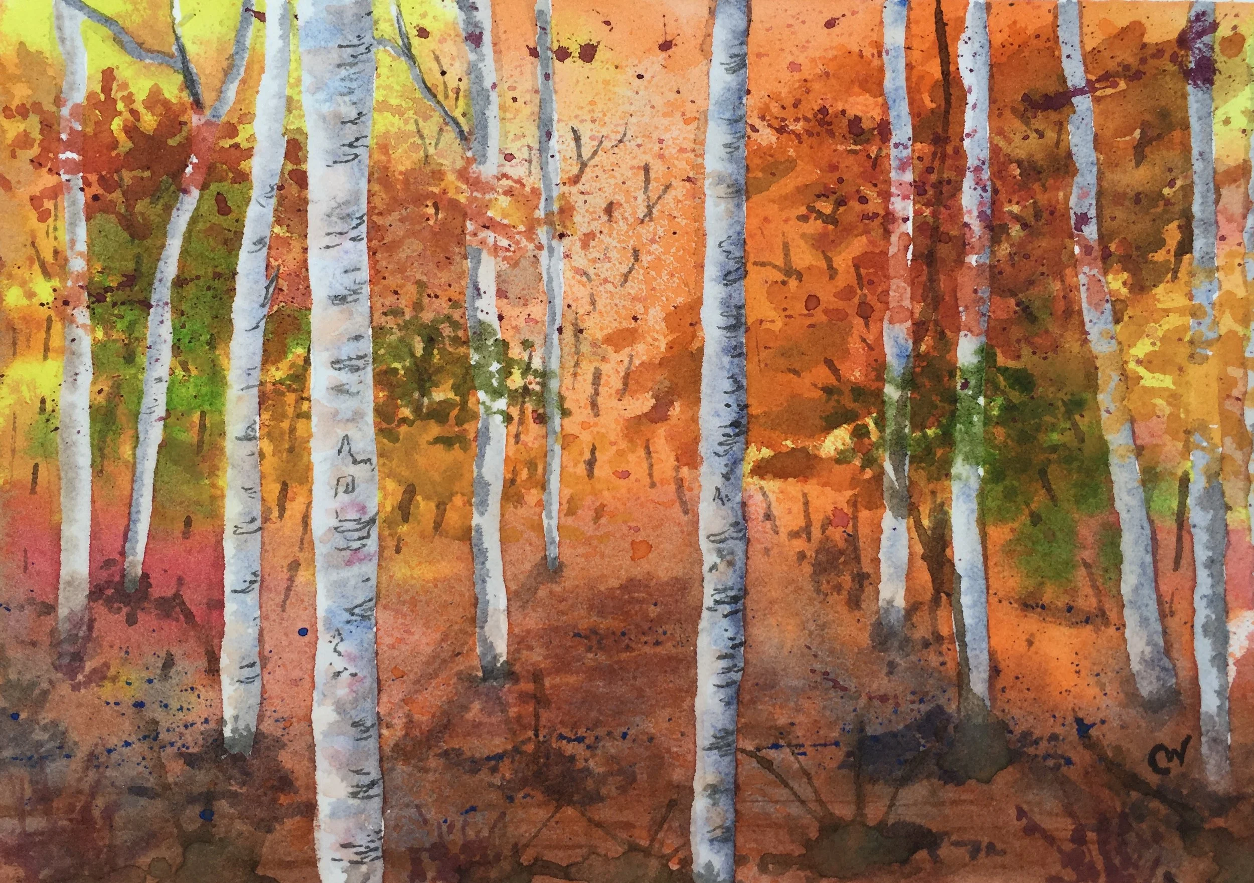 Birch Forest in Fall