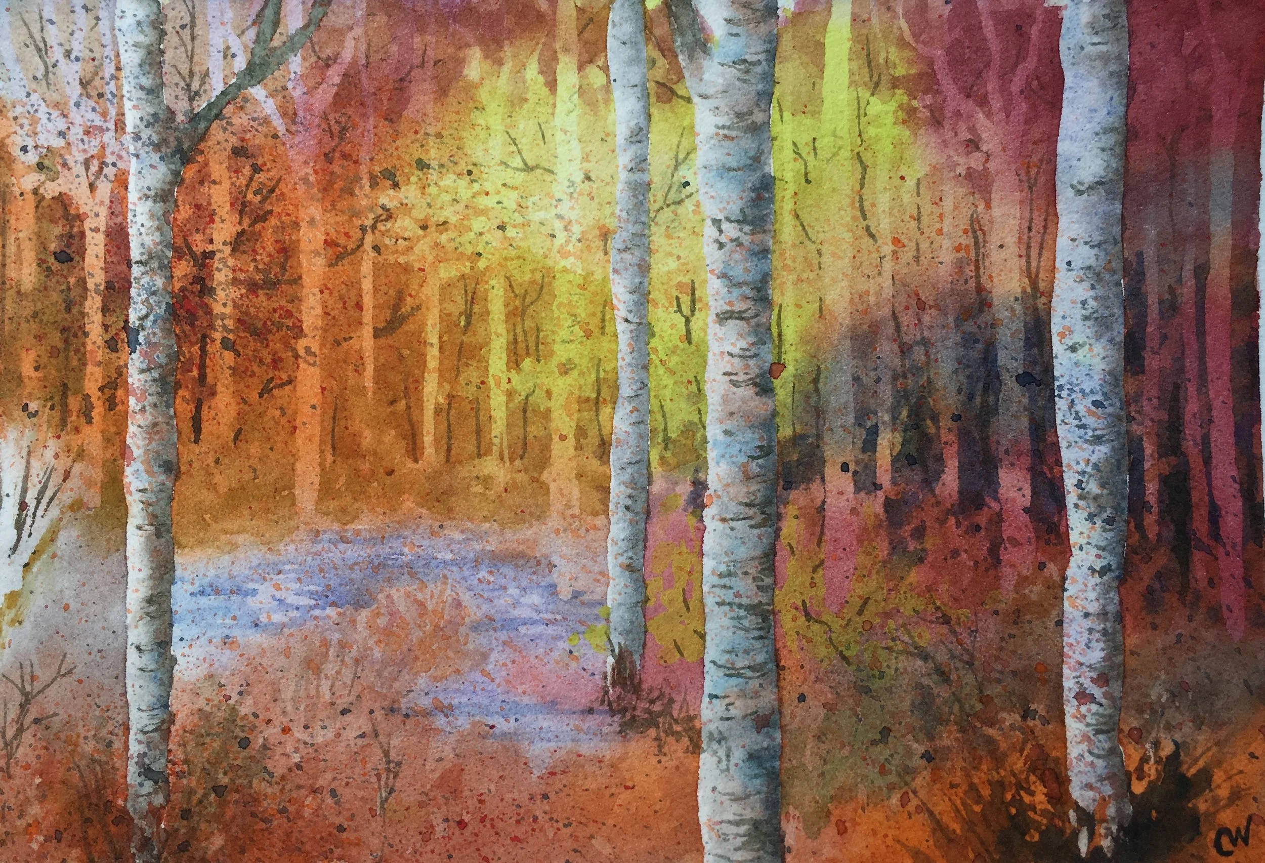 Enchanted Birch Forest