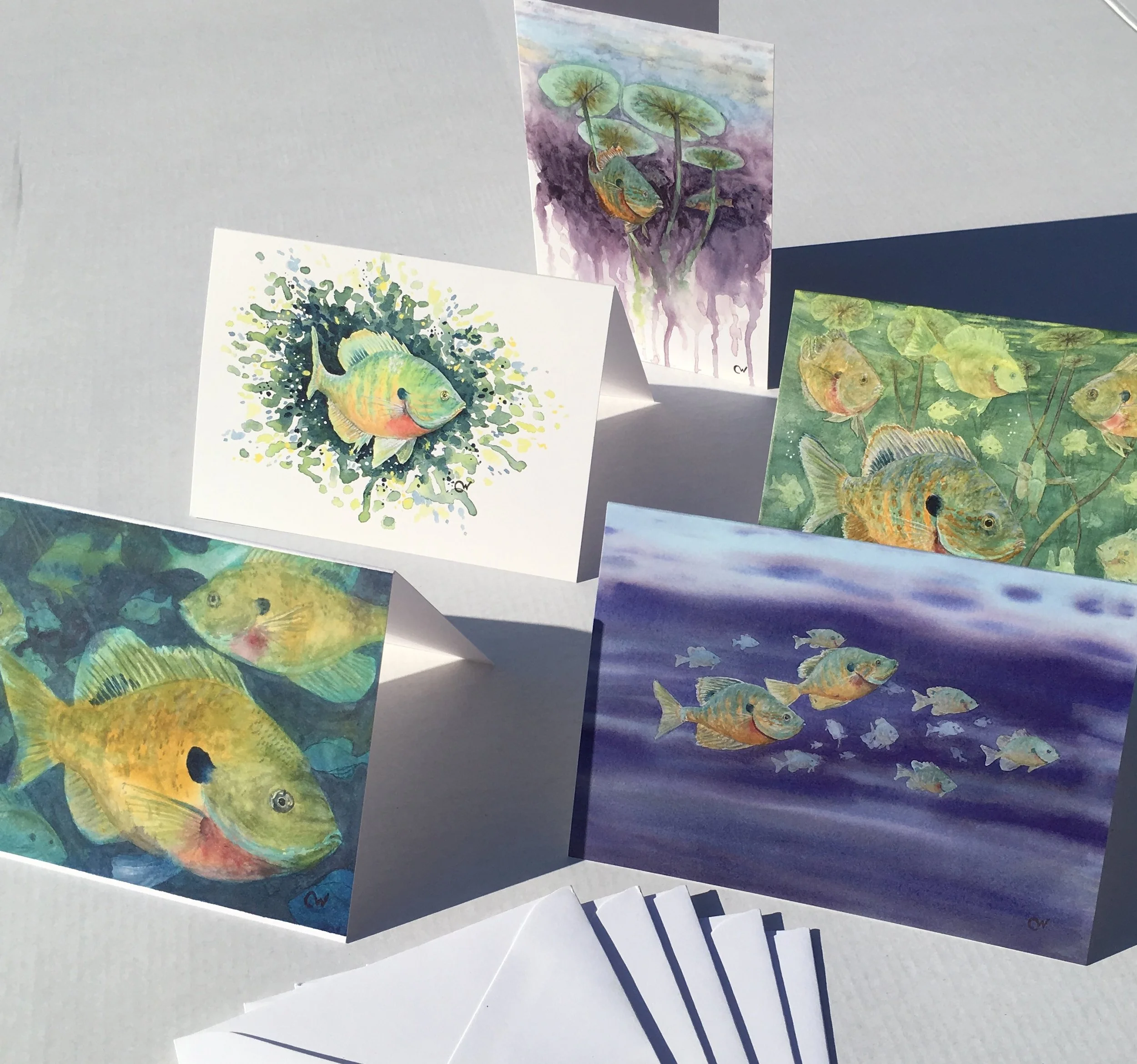 Sunfish Note Cards