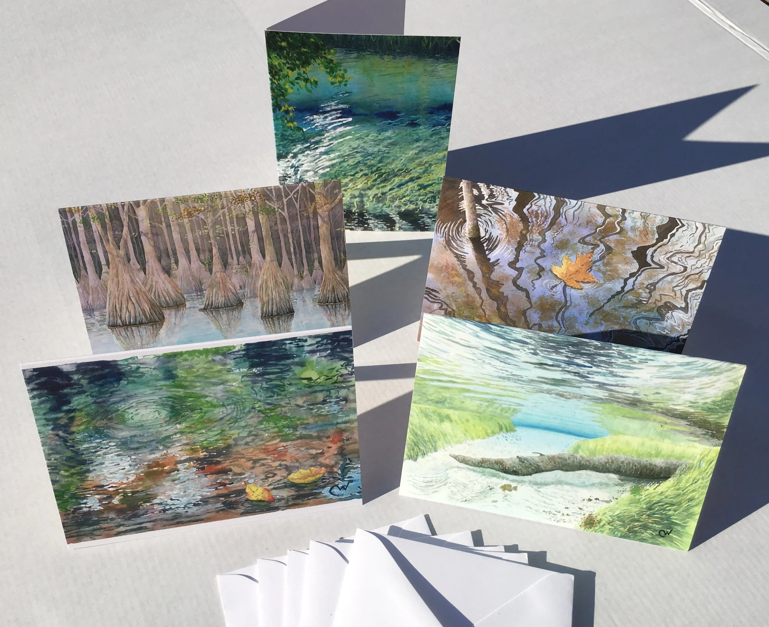 Florida Springs Note Cards
