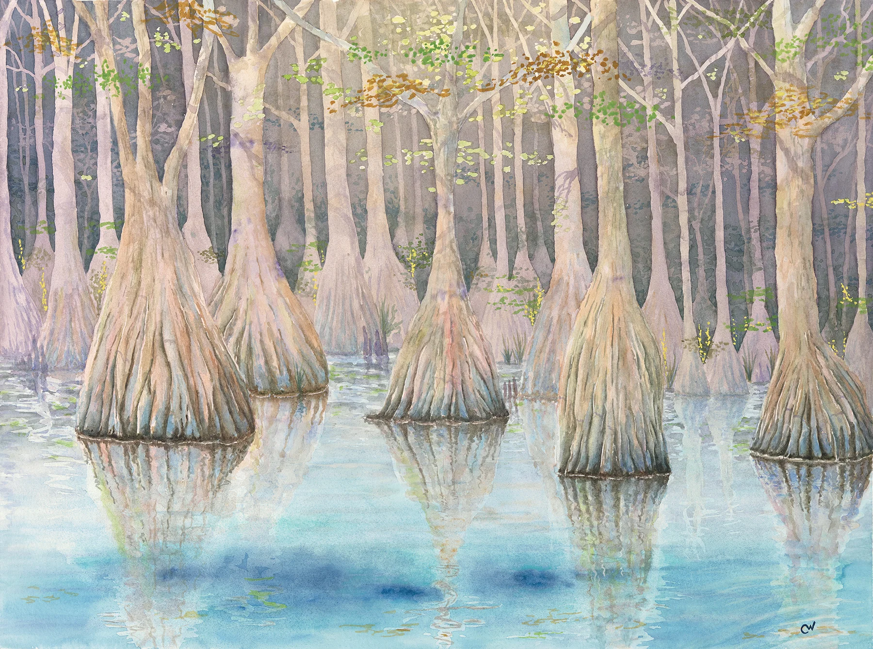 Ichetucknee Confluence Note Cards