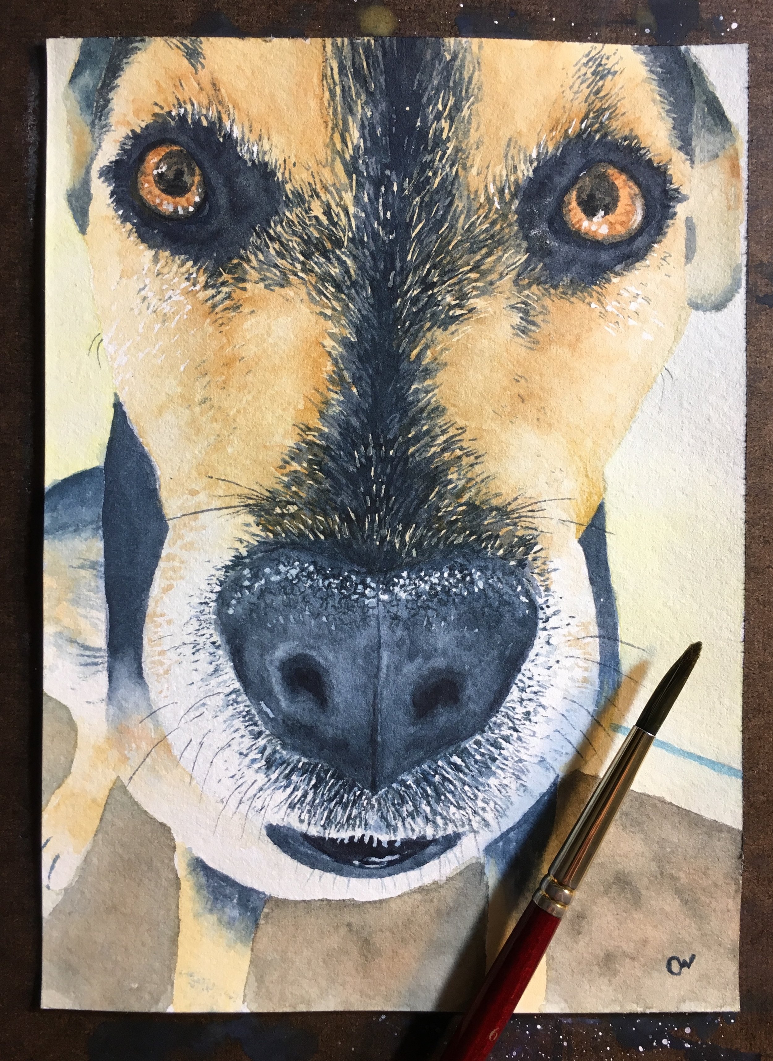 File Dec 06, 8 08 28 PM.jpeg