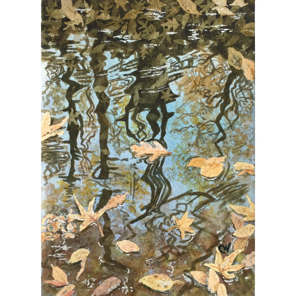 Sweet Gum Reflections