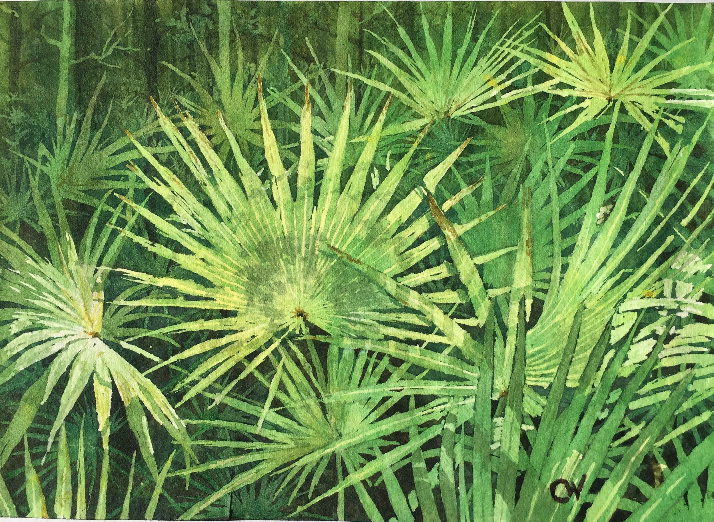 Palmetto Scene