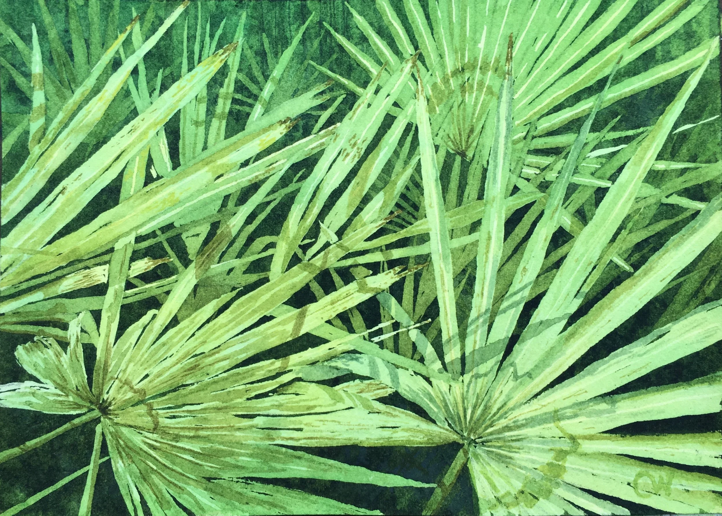 Palmetto