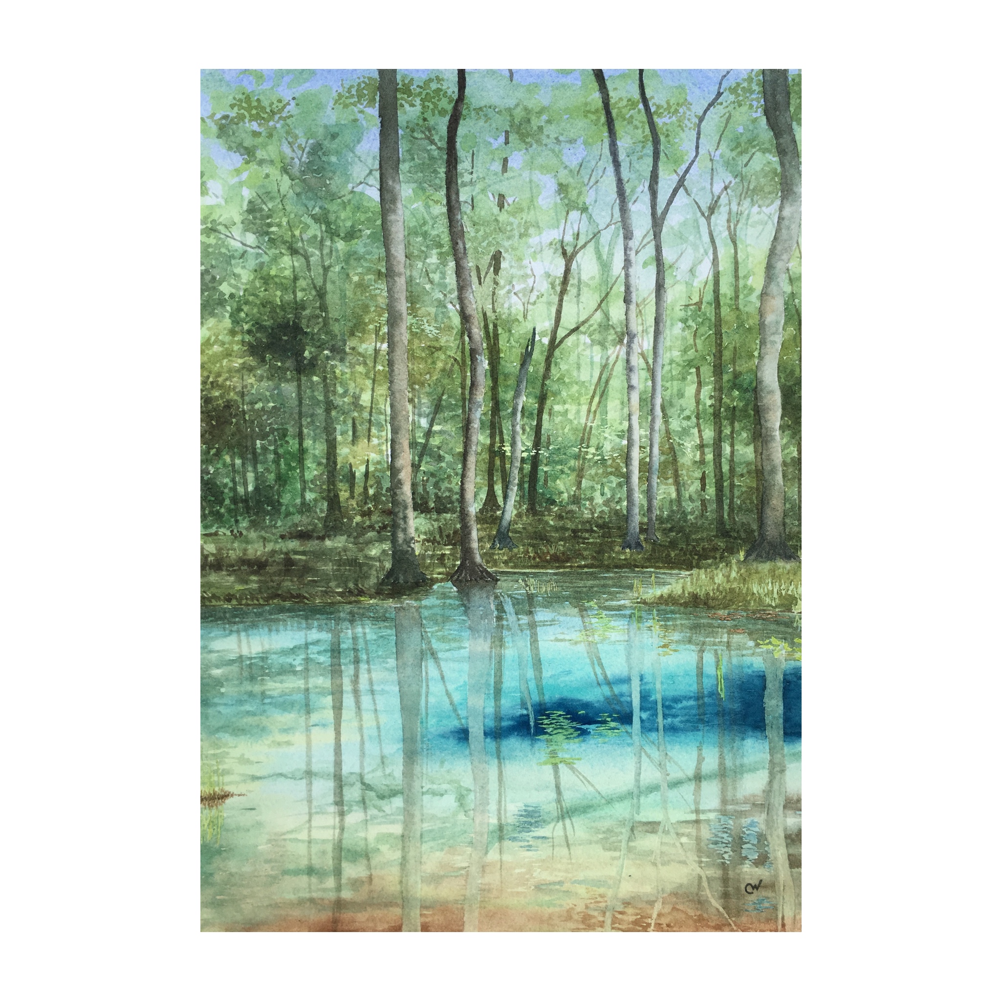 Naked Springs Run