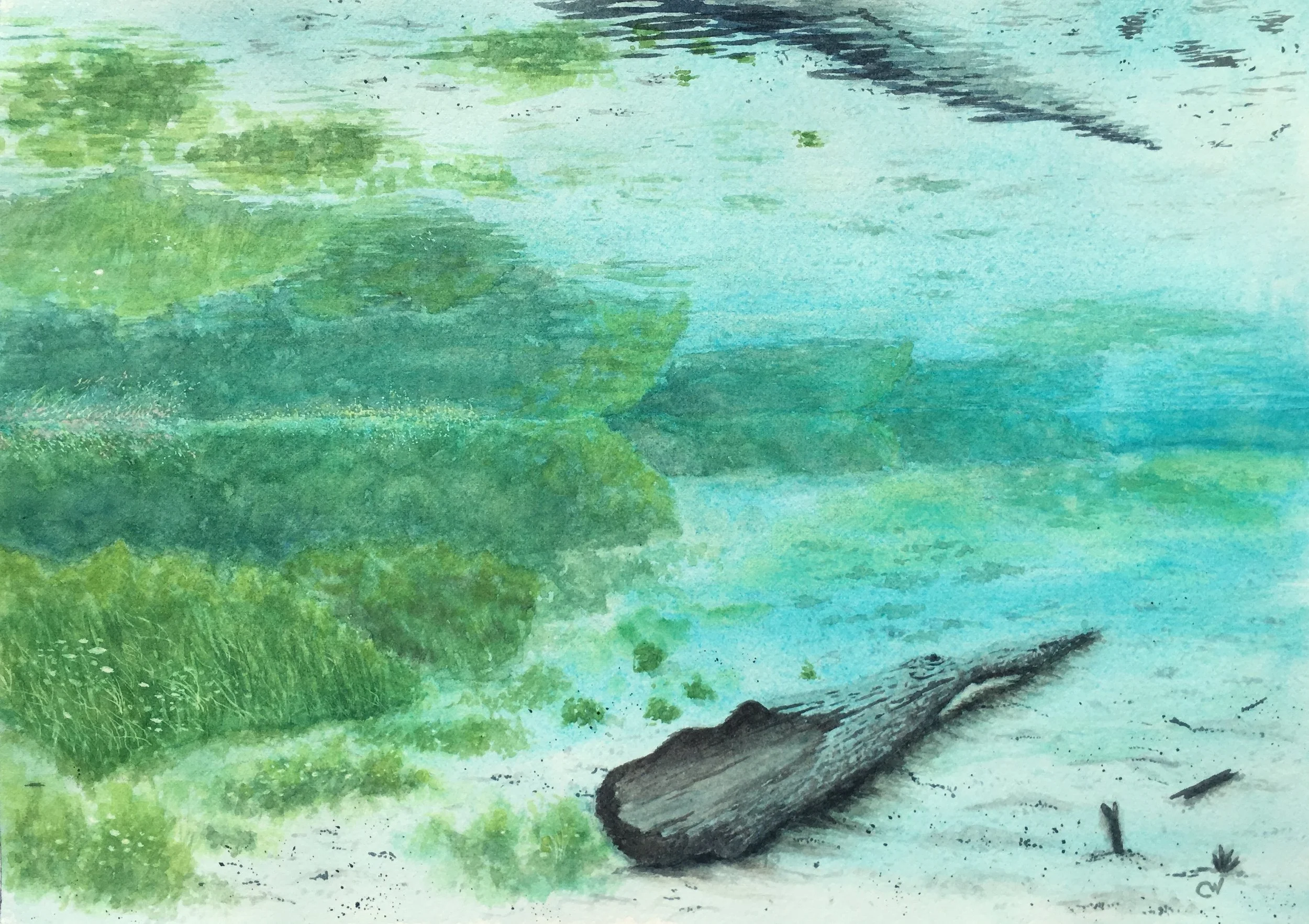 Naked Springs Run Original