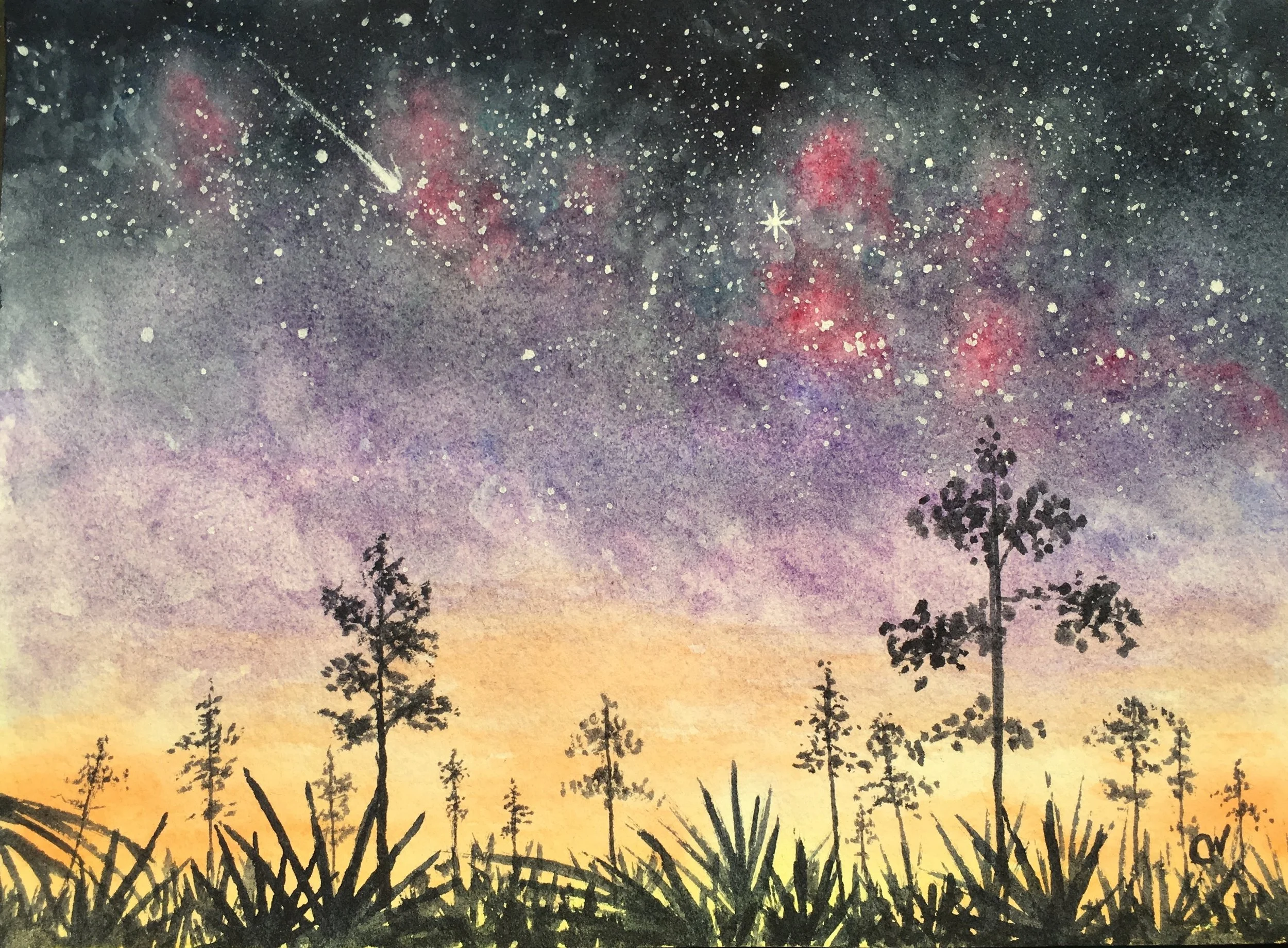 Weedon Island Night Sky