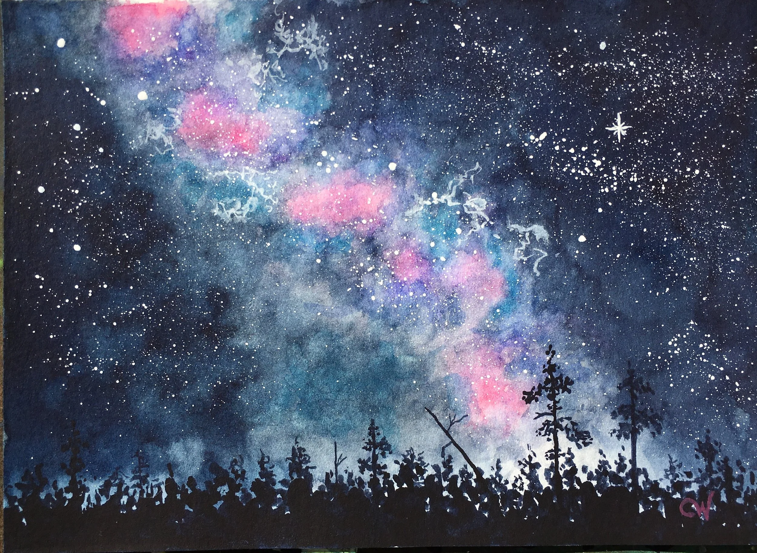 Dark Forest Bright Sky