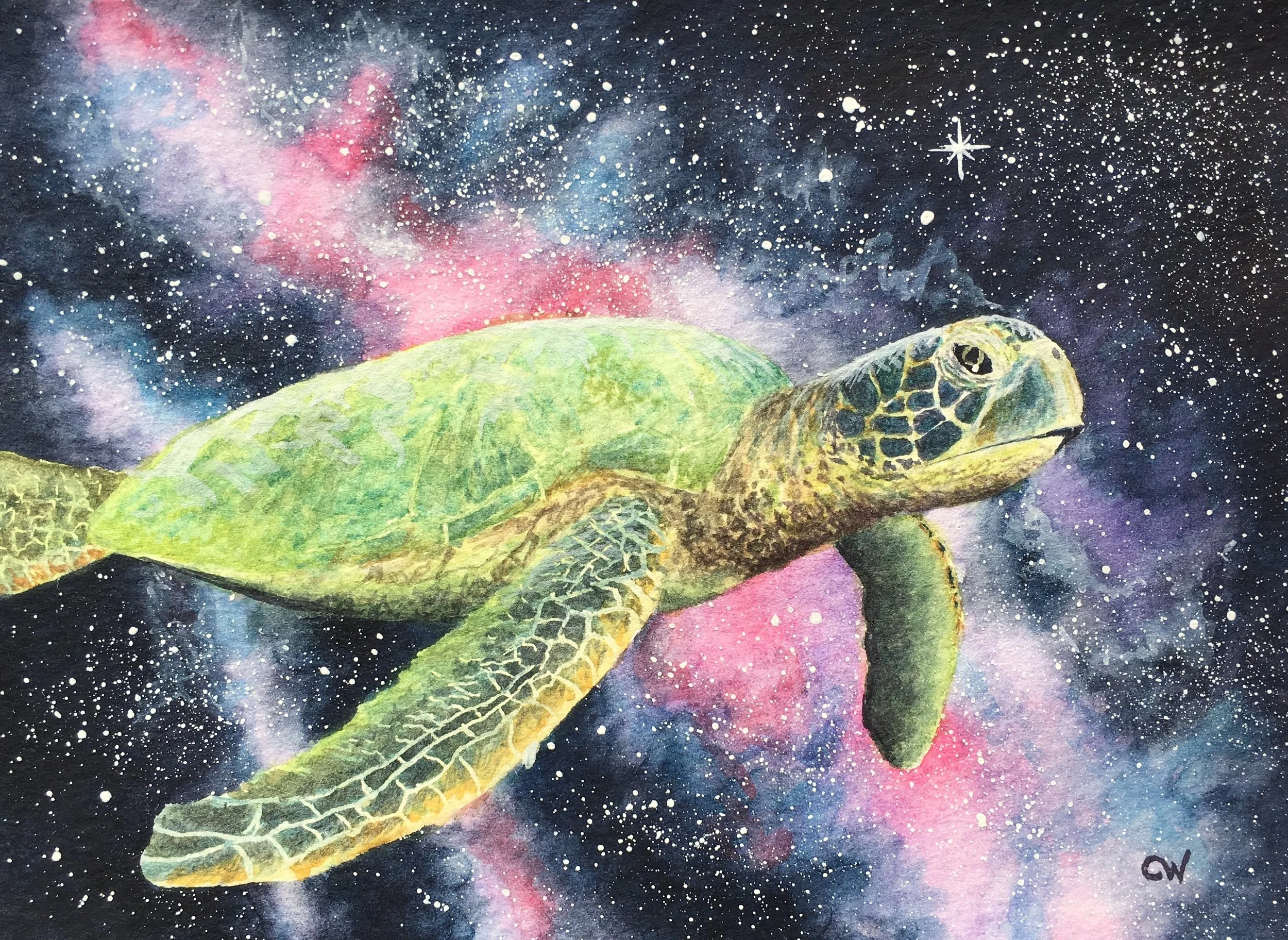 Riding the Cosmic Current