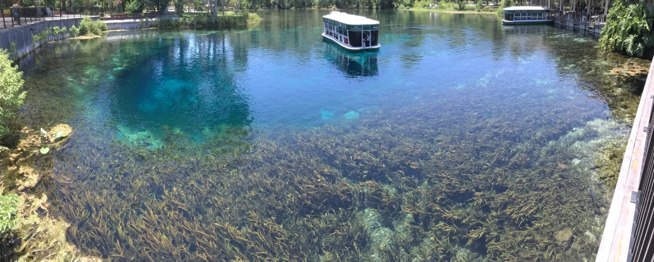 Silver Springs State Park - Glass Bottom Boats
