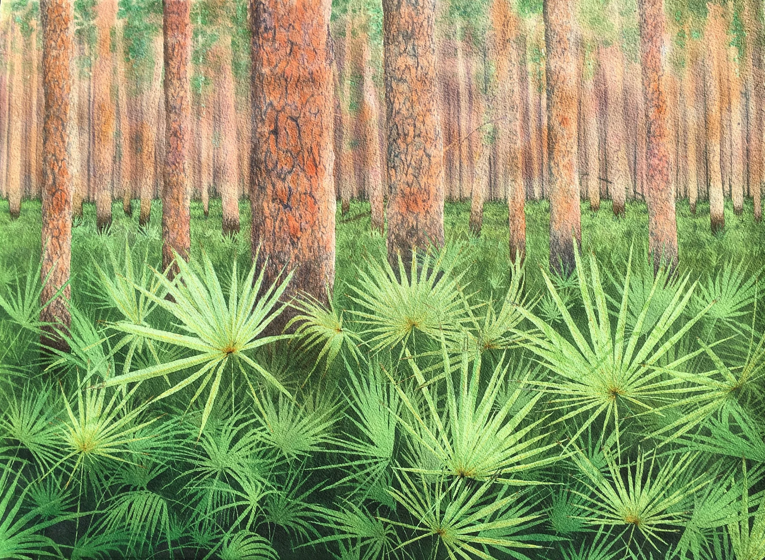 Flatwoods