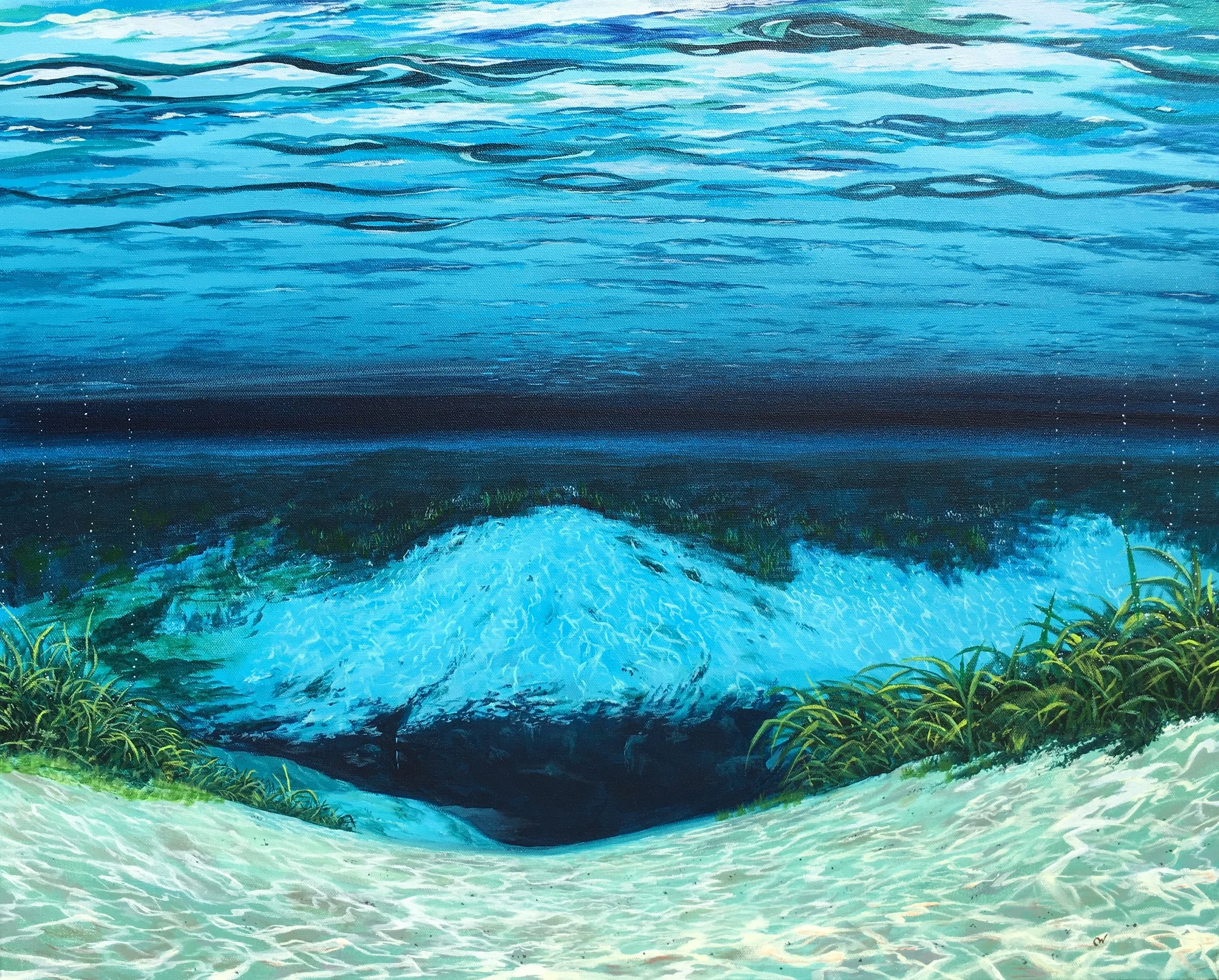 Alexander Springs Canyon