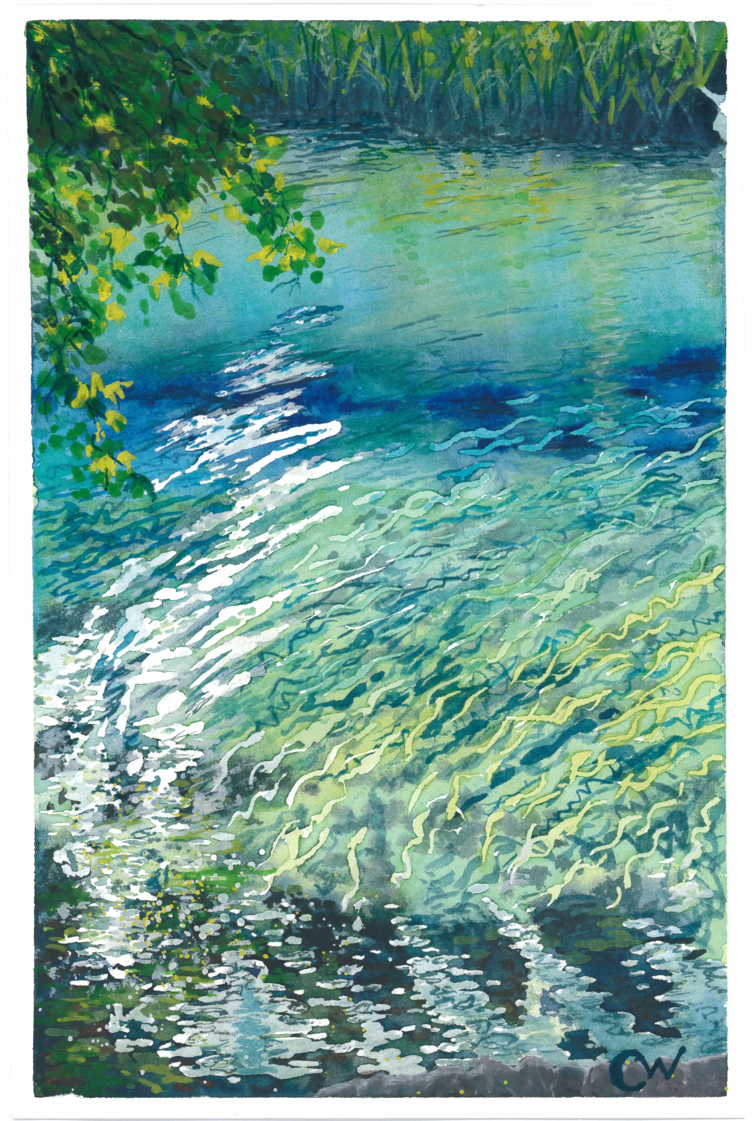 Ichetucknee Head Springs