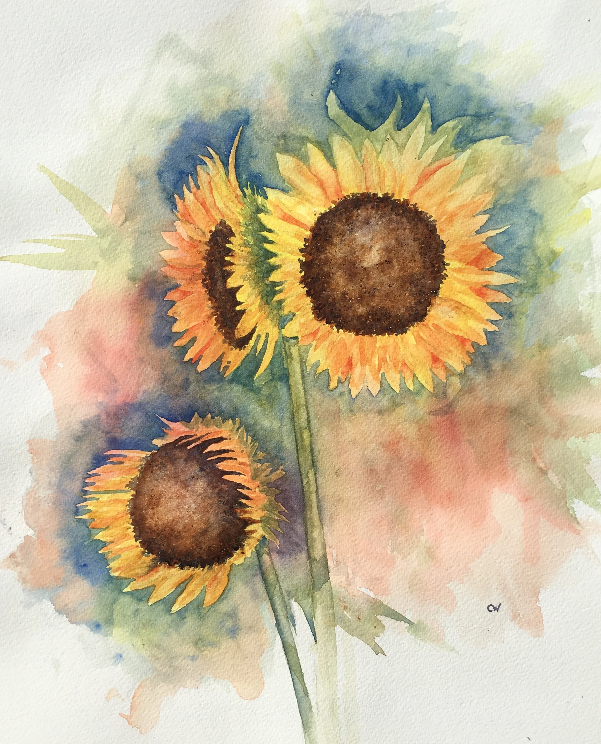 Sunflowers