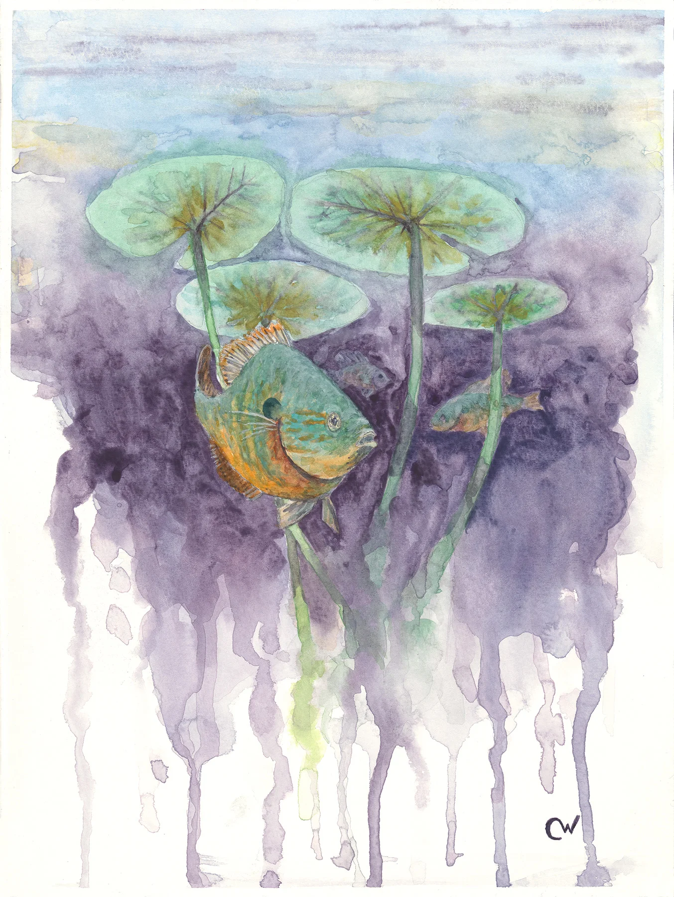 Santa Fe Friends Note Cards