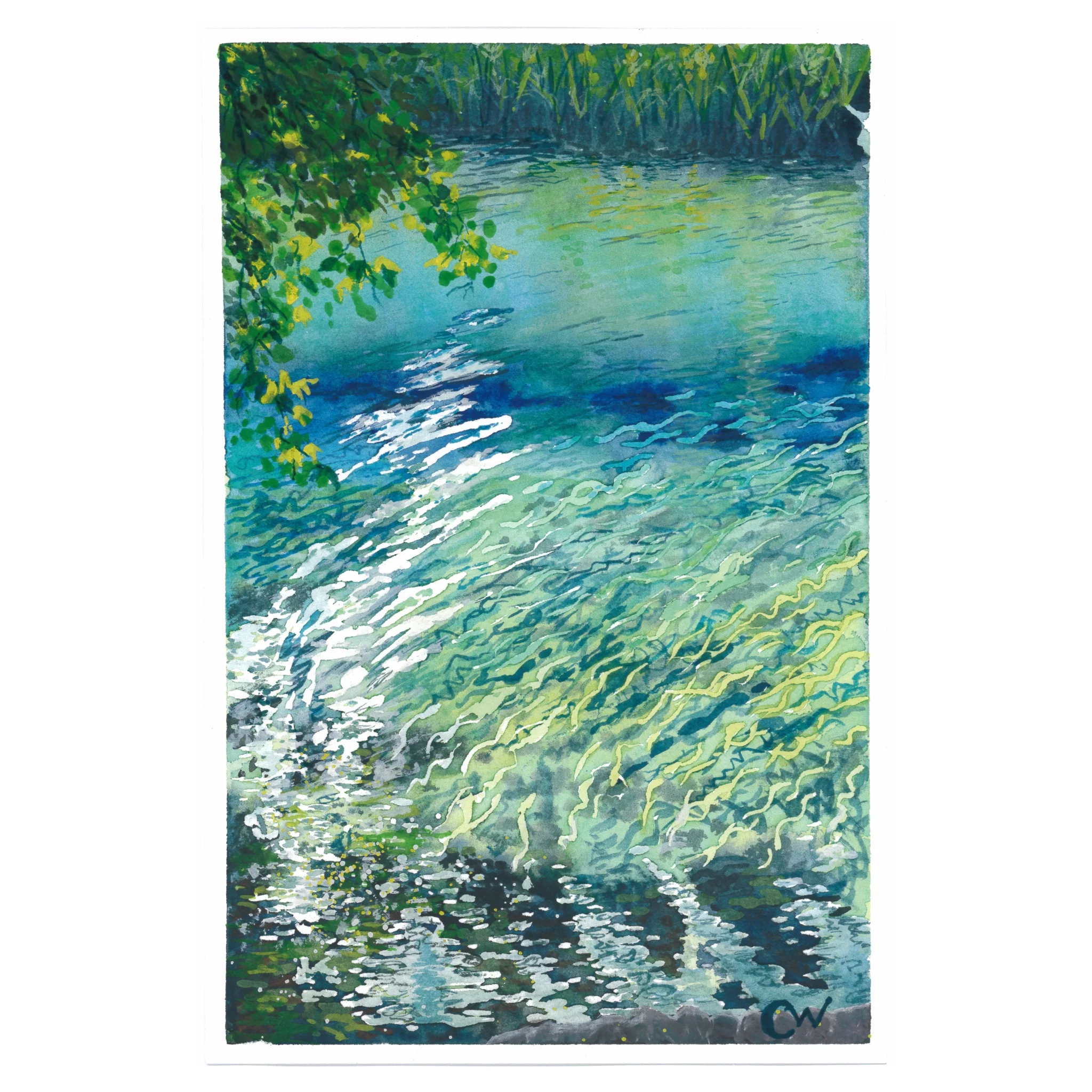 Ichetucknee Head Springs Squarespace version.jpeg