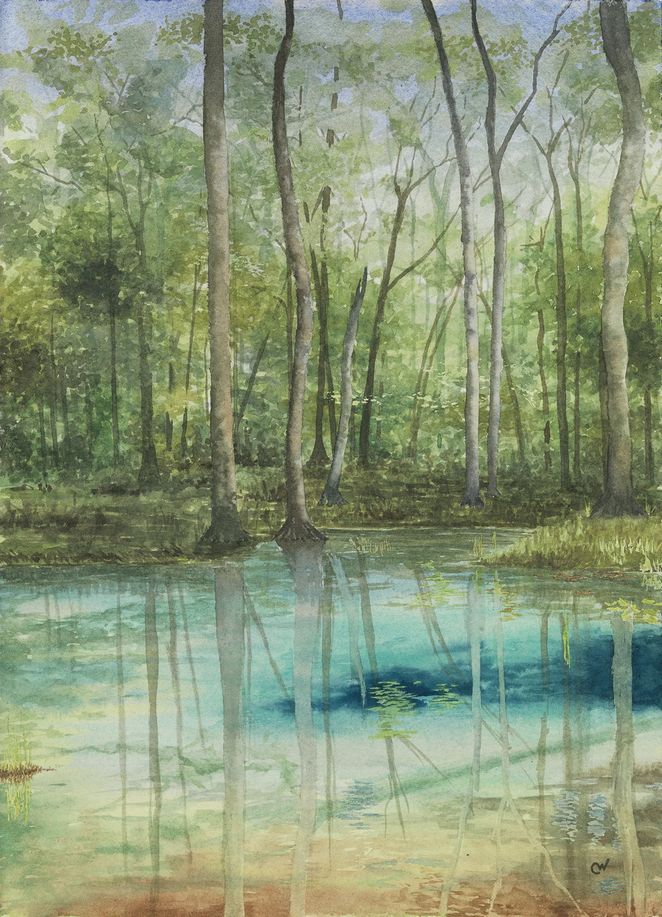 Gilchrist Blue Springs Note Cards