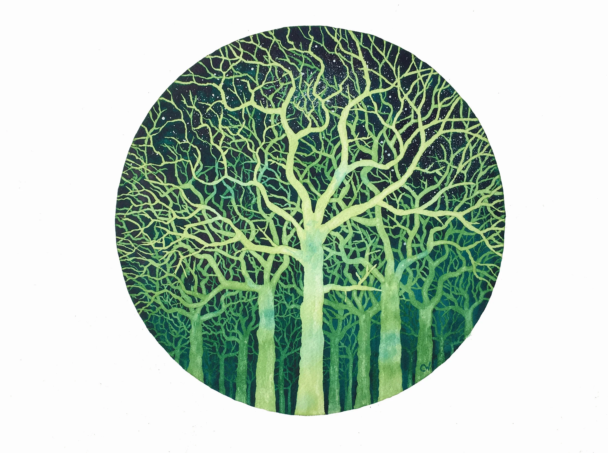 Emerald Forest Note Cards