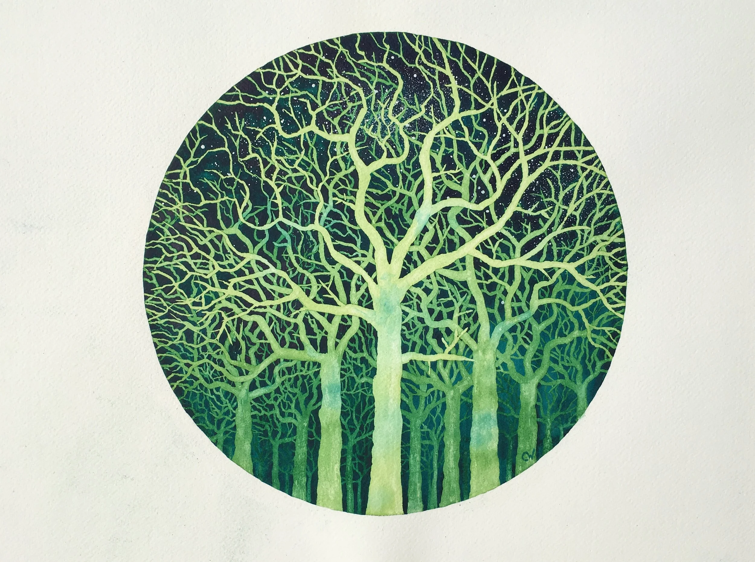 Emerald Forest Framed Print