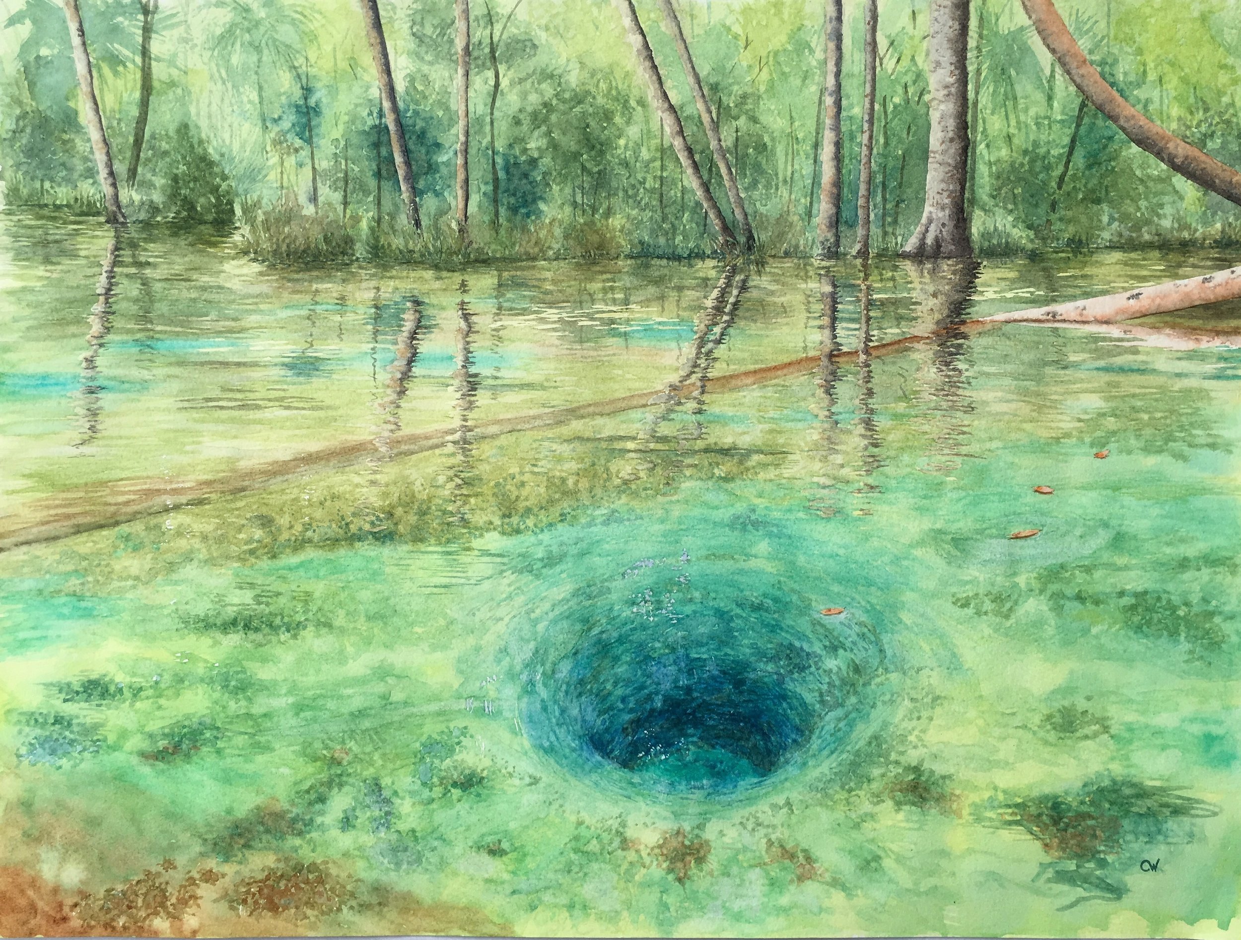 File Jan 26, 2 55 42 PM.jpeg