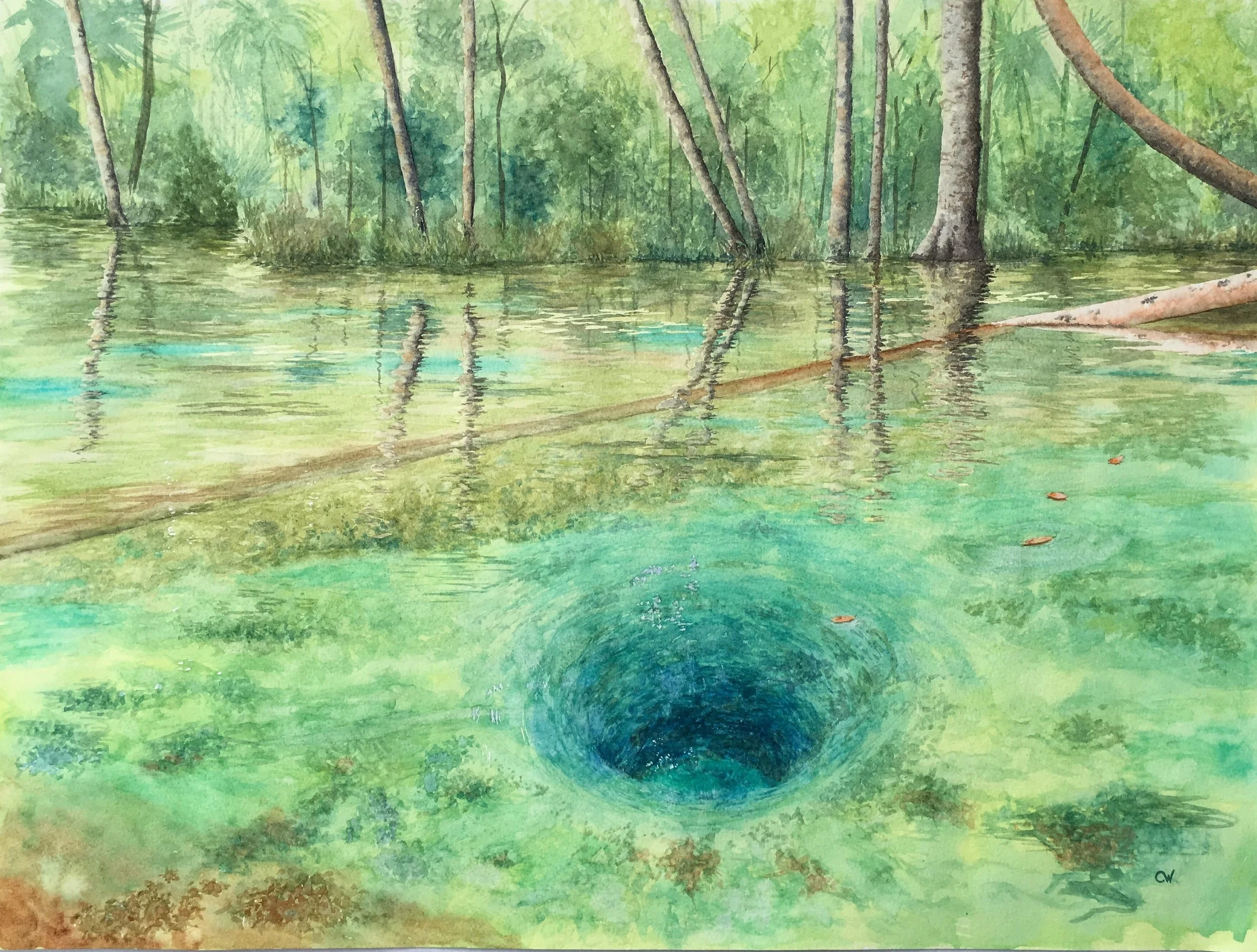 Chassahowitzka
