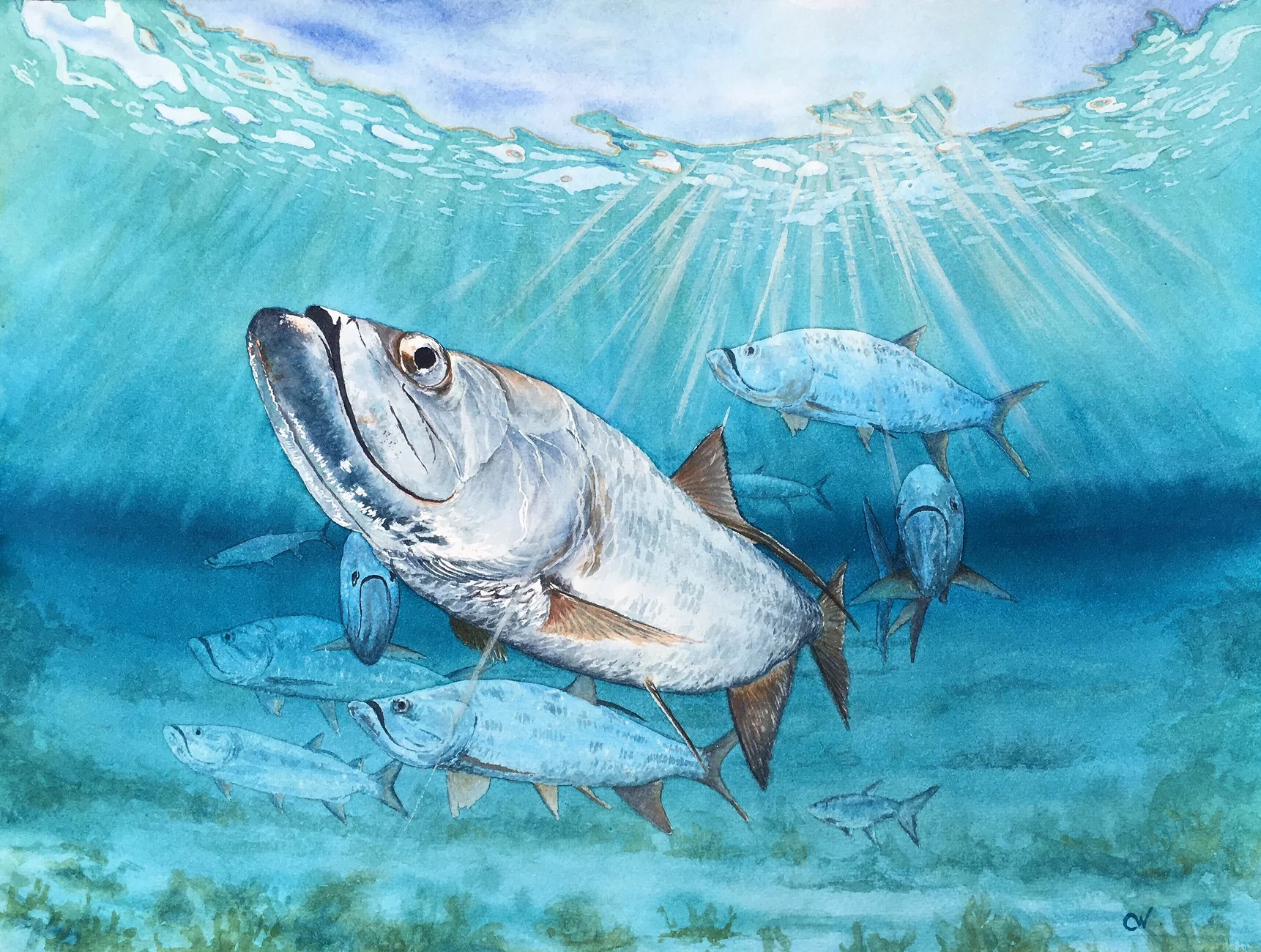 Bright Tarpon.JPG