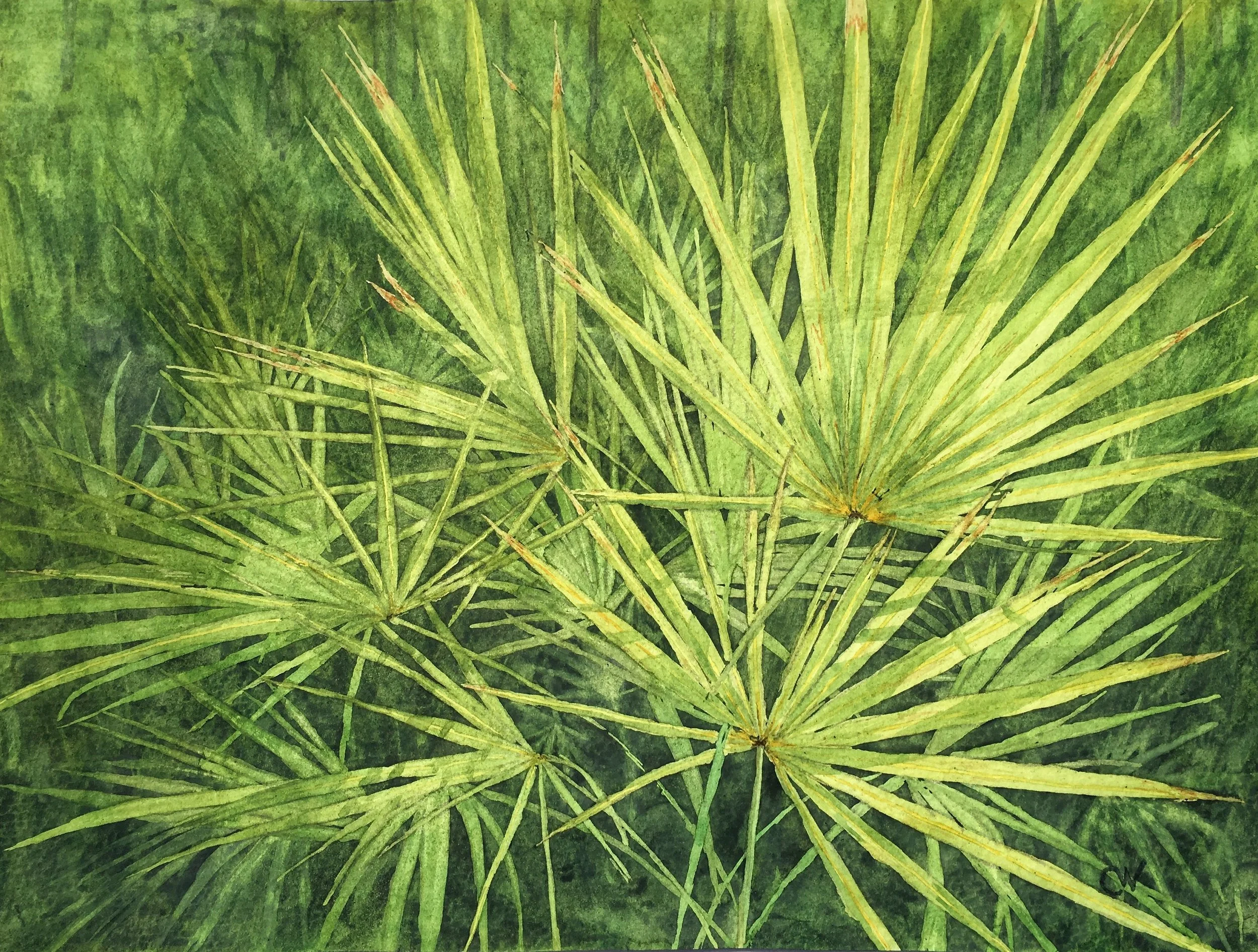Palmettos Framed Original
