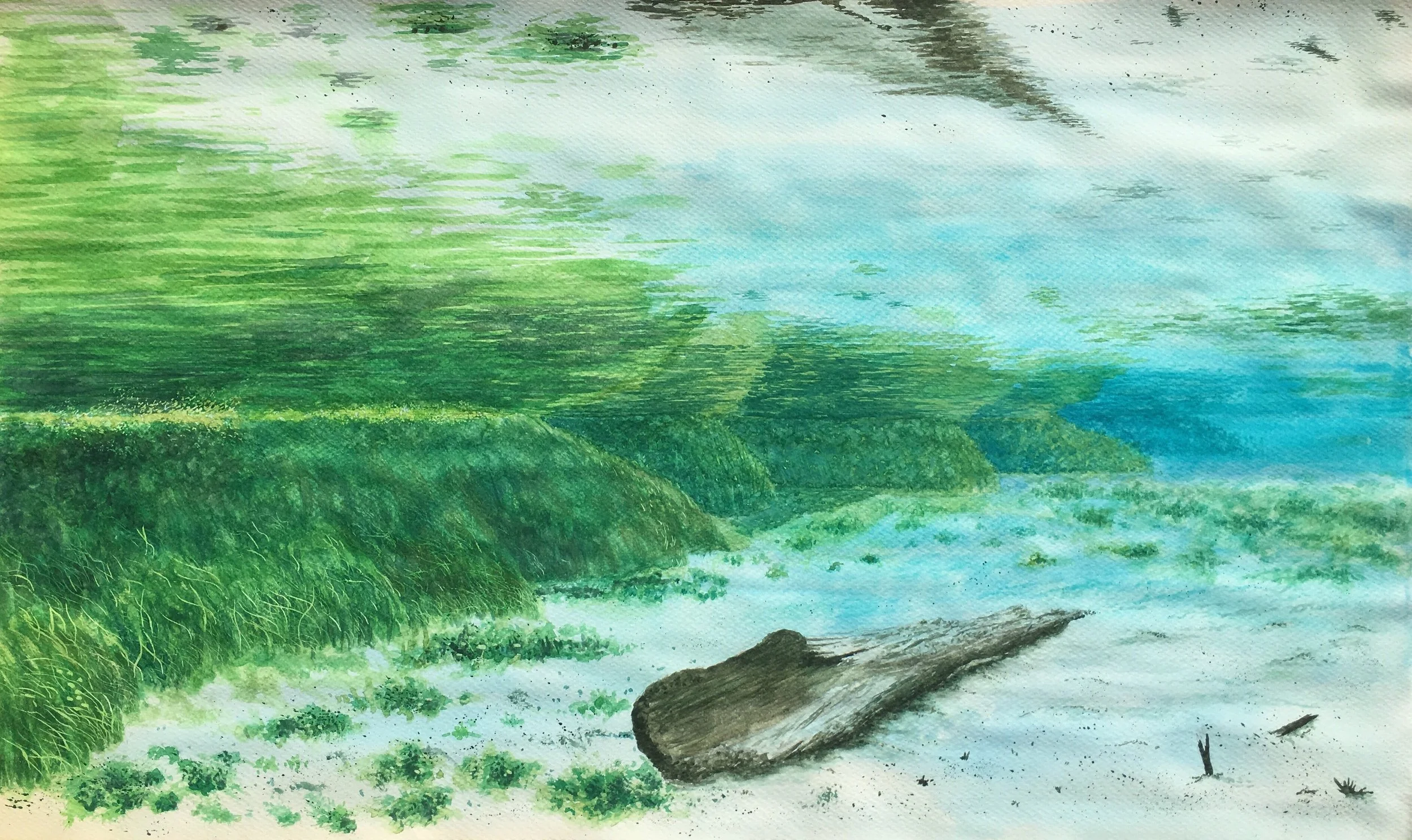 Naked Springs Run Original