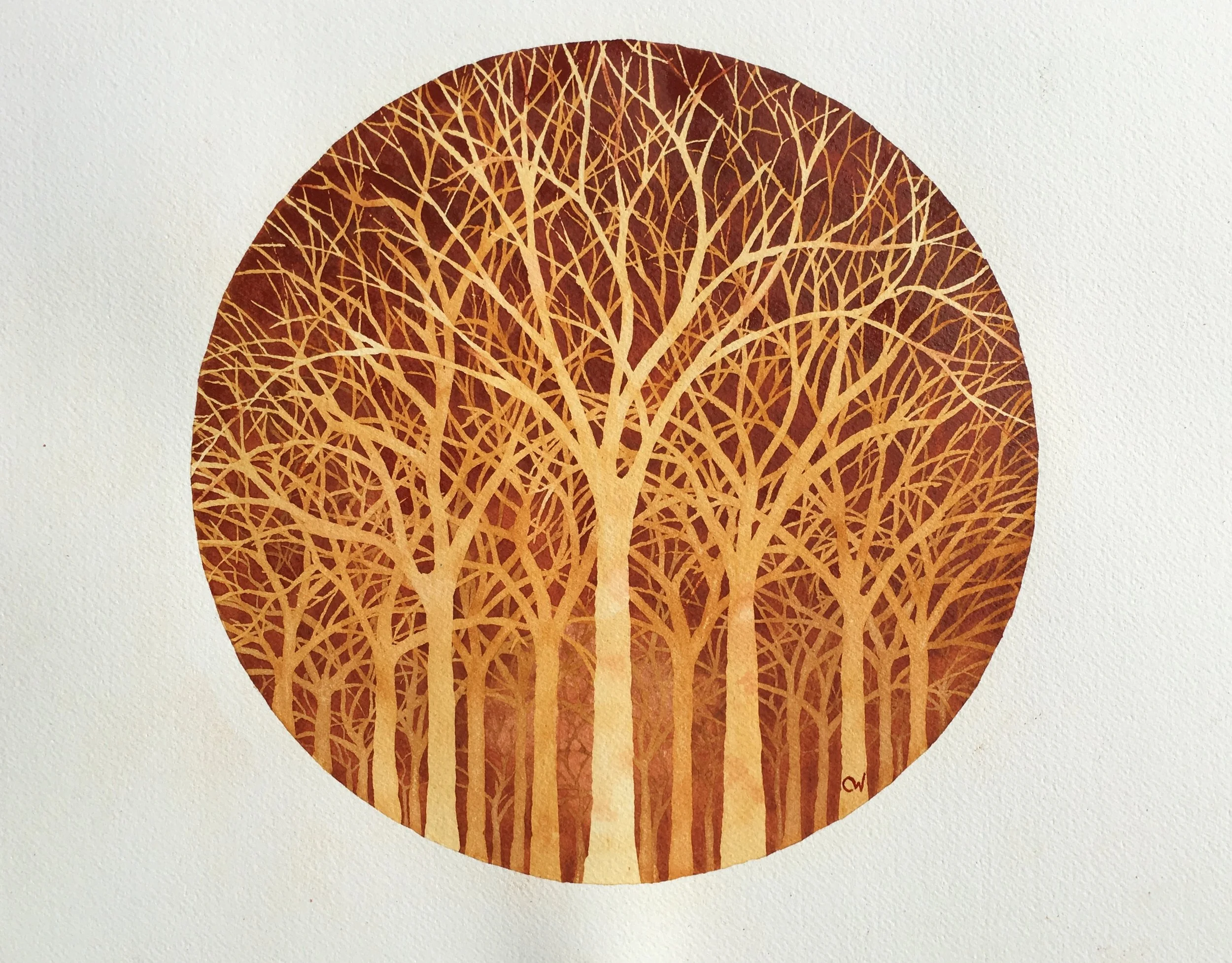 Branching Framed Print