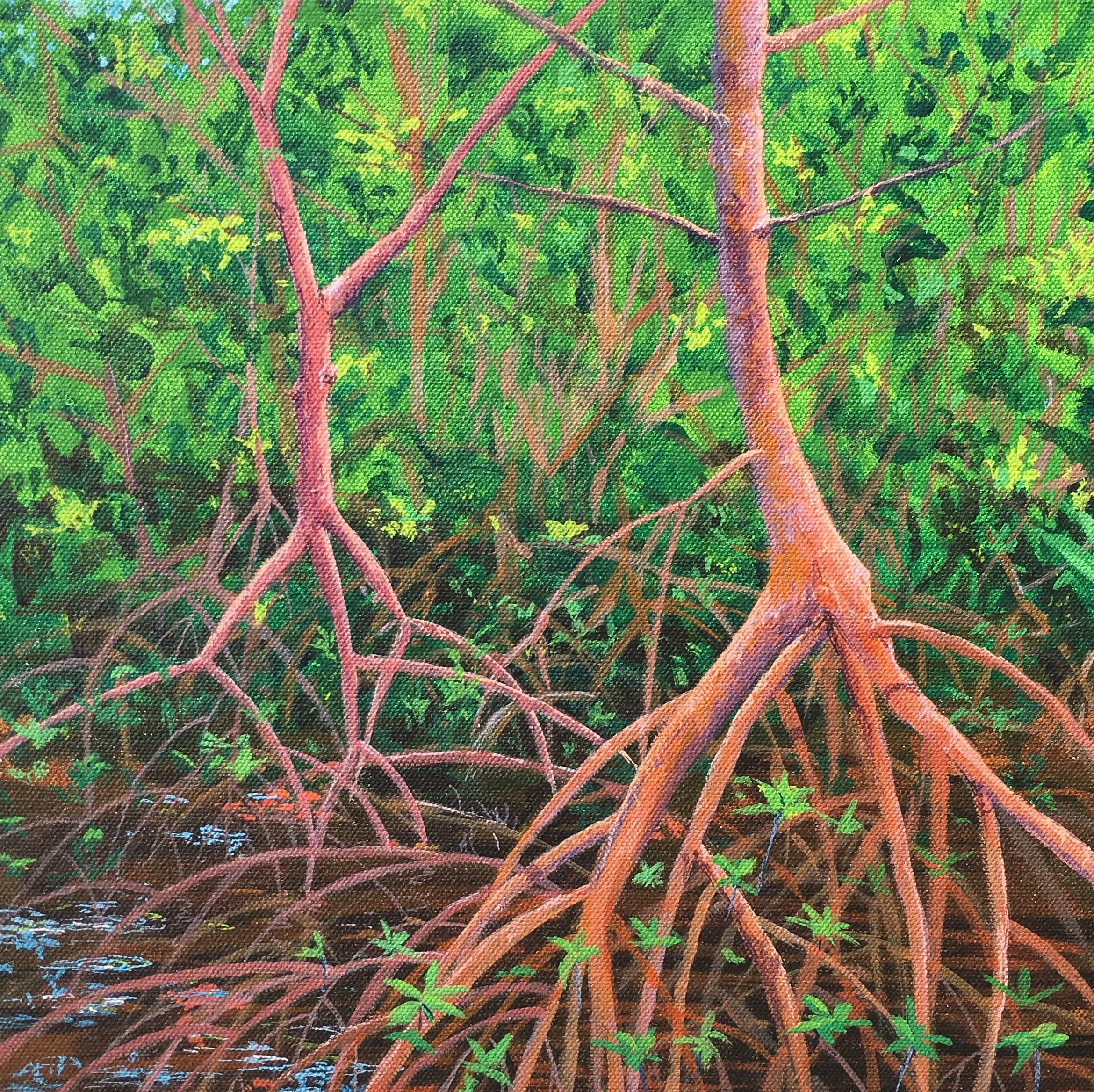 Weedon Mangroves