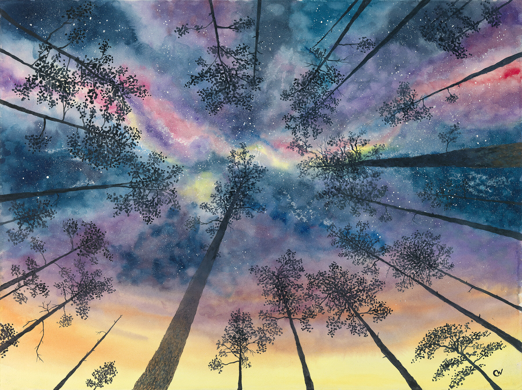 Framed Night Sky In the Pines